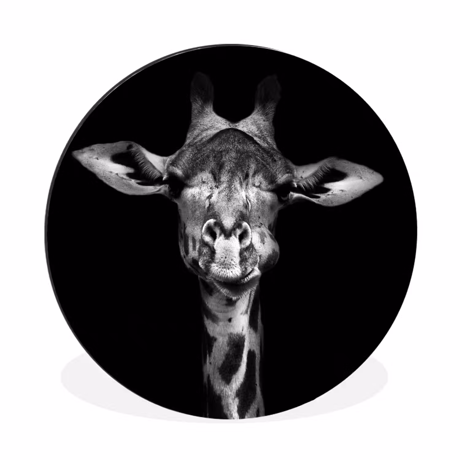 Giraffe - Portret - Dieren - Zwart - Wit Wandcirkel aluminium klein -3d