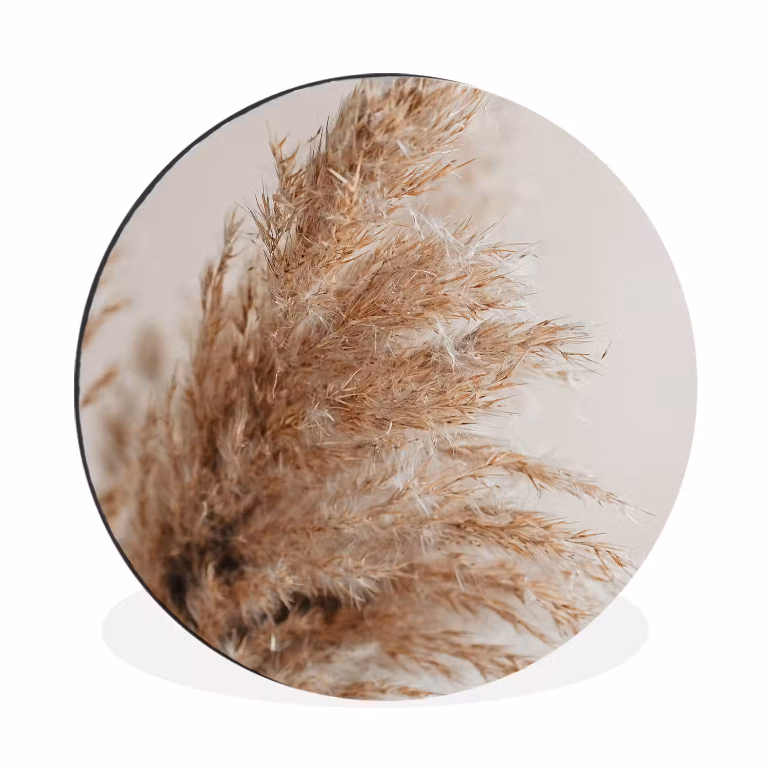 Gras - Planten - Natuur - Pampasgras Wandcirkel aluminium klein -3d