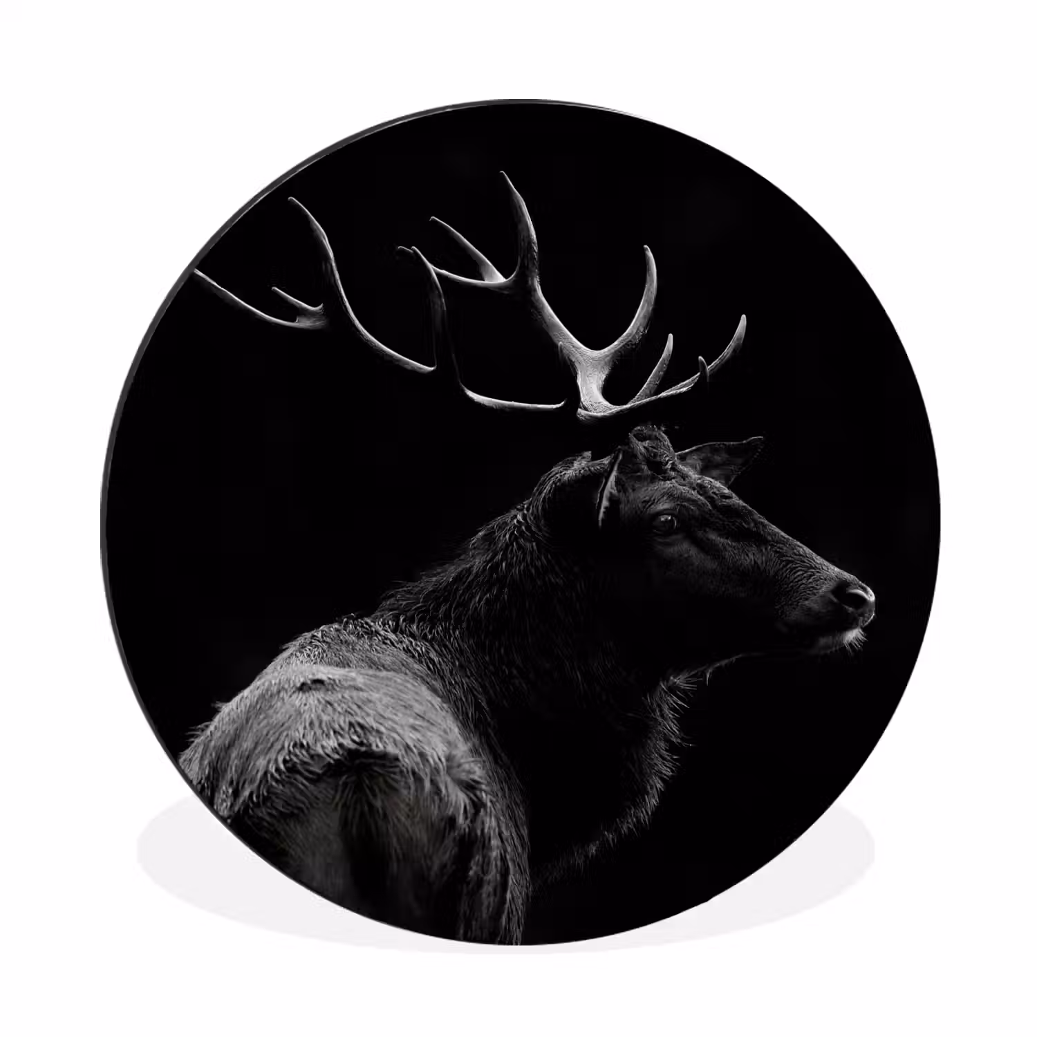 Hert - Zwart - Portret - Gewei - Dieren Wandcirkel aluminium klein -3d