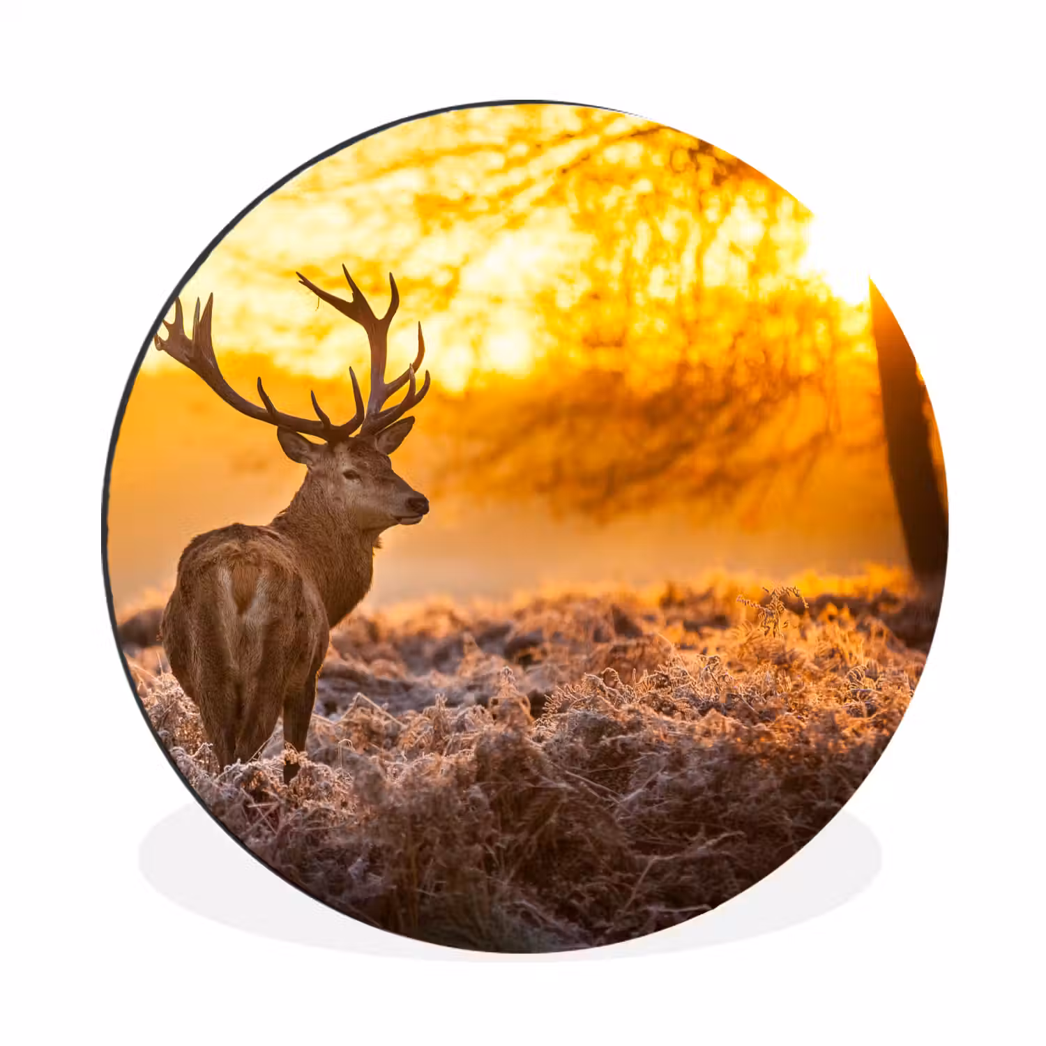 Hert - Dieren - Zonsondergang - Winter - Heide - Natuur Wandcirkel aluminium klein -3d