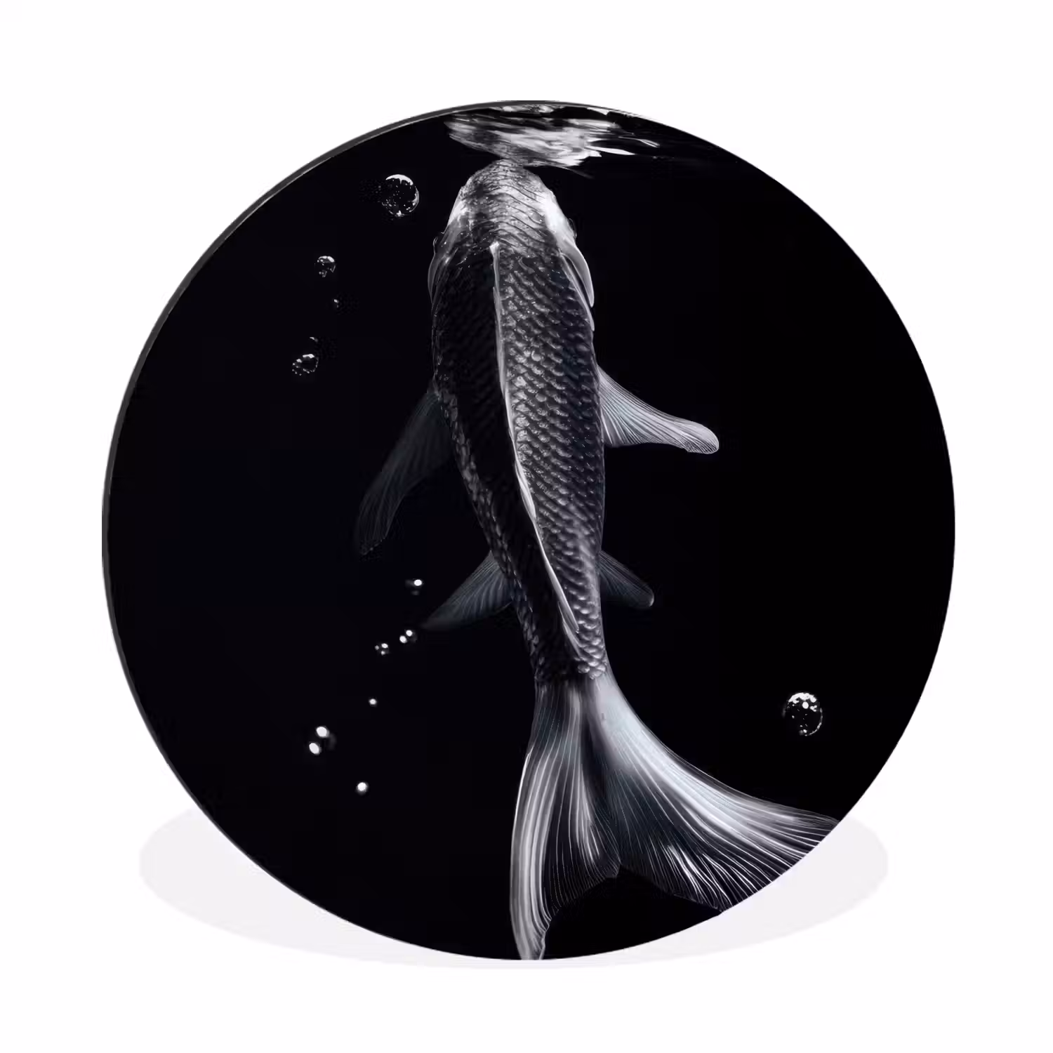 Koi - Vissen - Water - Zwart Wandcirkel aluminium klein -3d