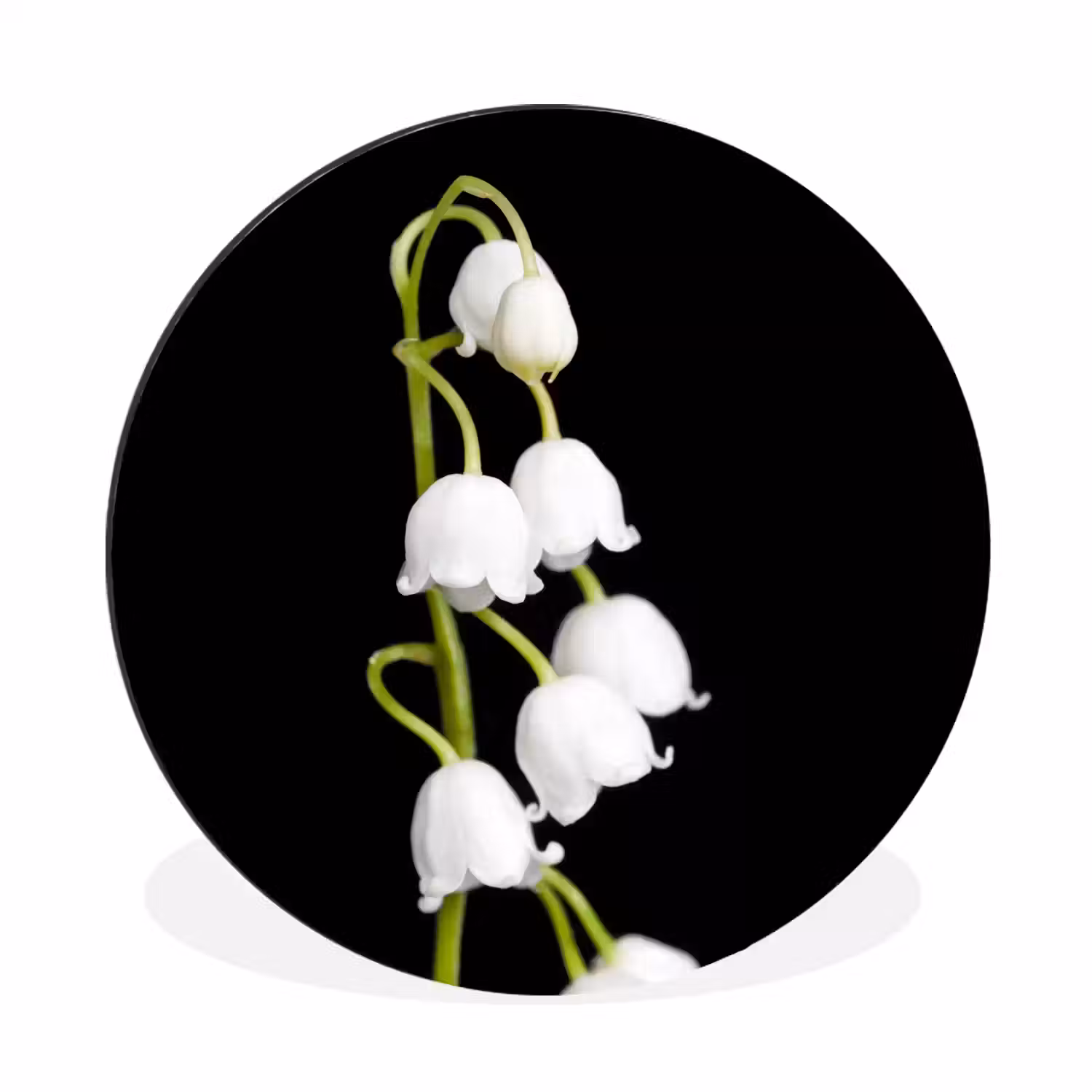 Lelietjes van dalen - Bloemen - Zwart - Flora Wandcirkel aluminium klein -3d