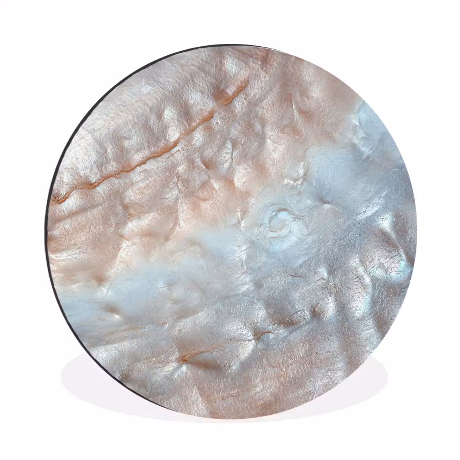 Schelpen - Abstract - Natuur Wandcirkel aluminium klein -3d