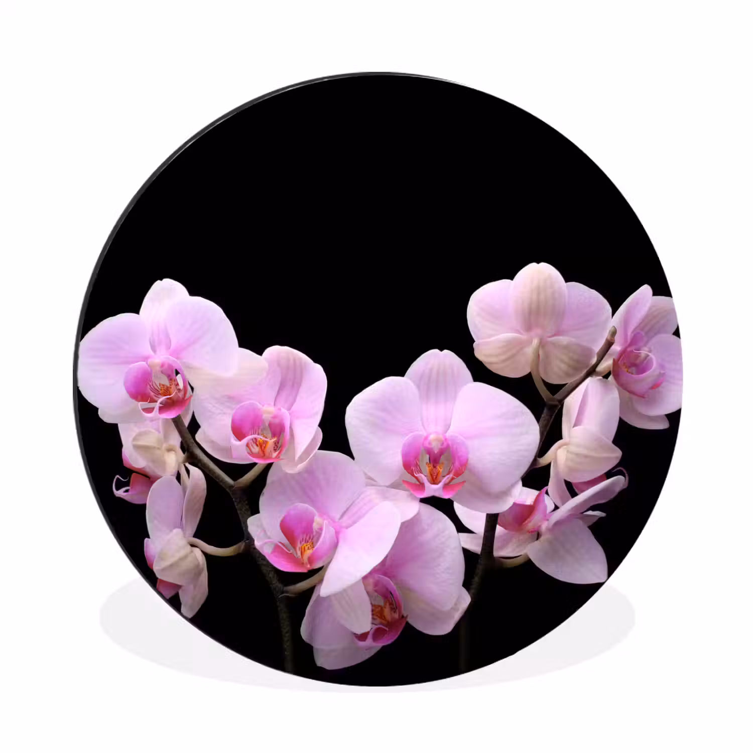 Orchidee - Bloemen - Roze - Flora Wandcirkel aluminium klein -3d
