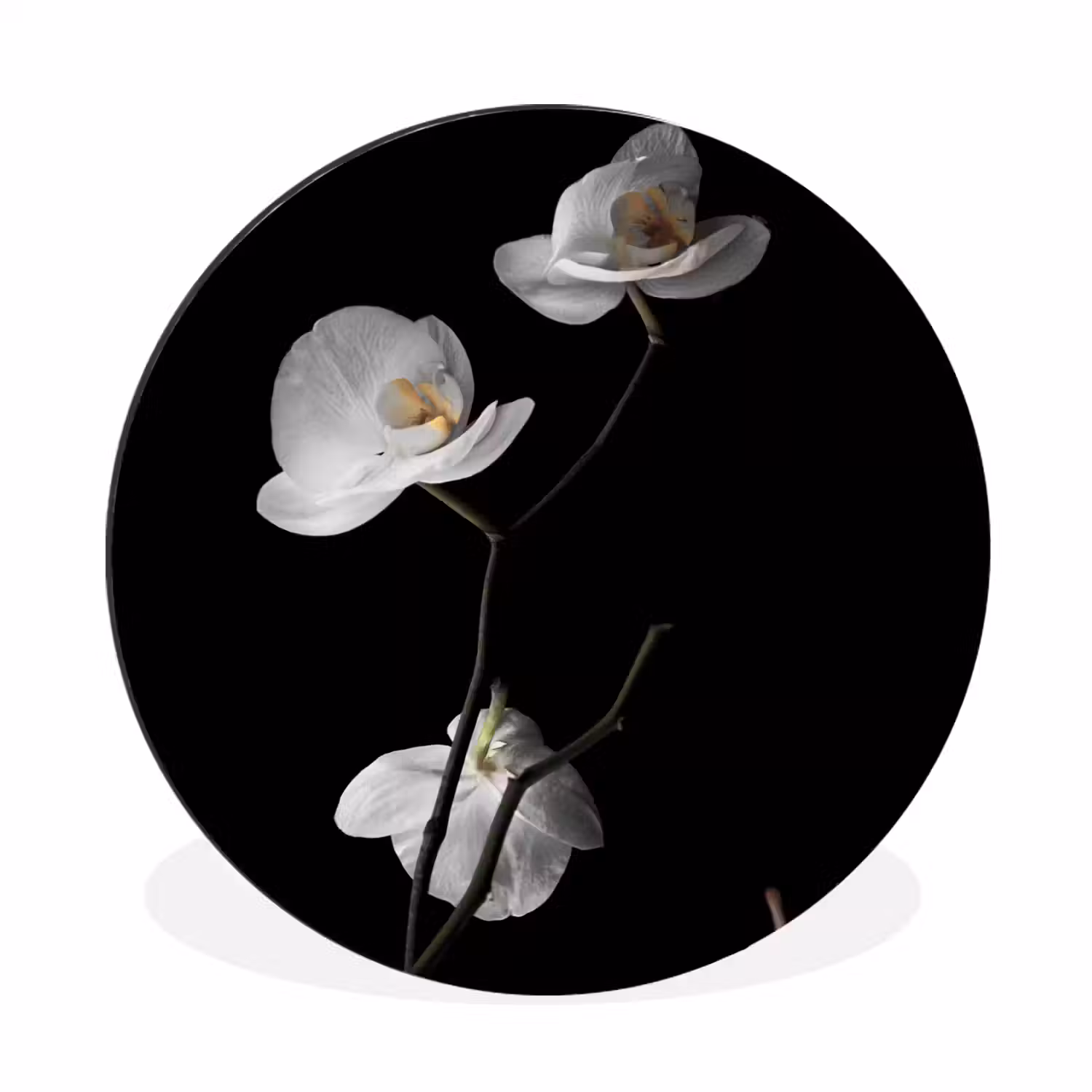 Orchidee - Bloemen - Zwart - Wit - Stilleven Wandcirkel aluminium klein -3d