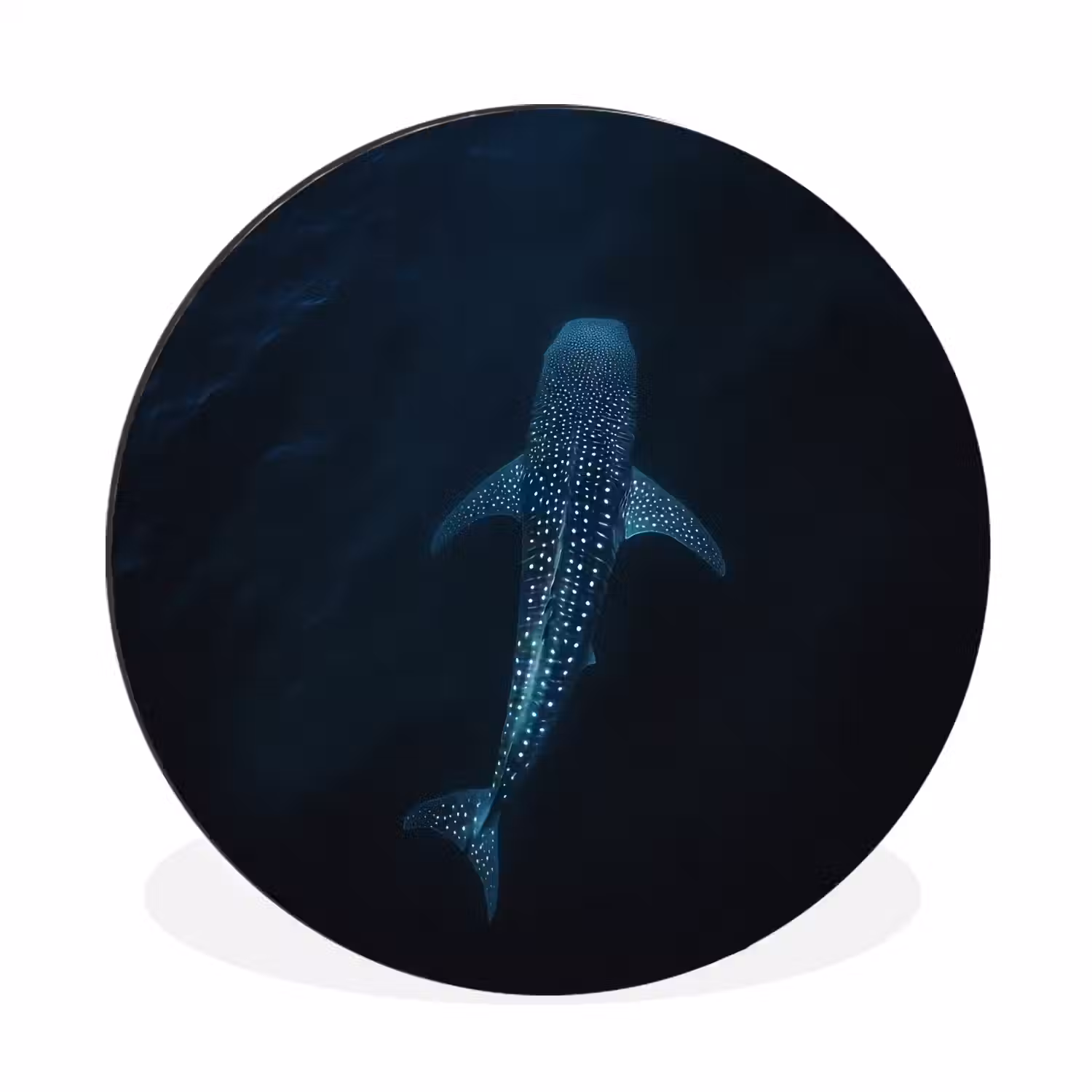 Oceaan - Walvishaai - Donkerblauw - Vlekken Wandcirkel aluminium klein -3d