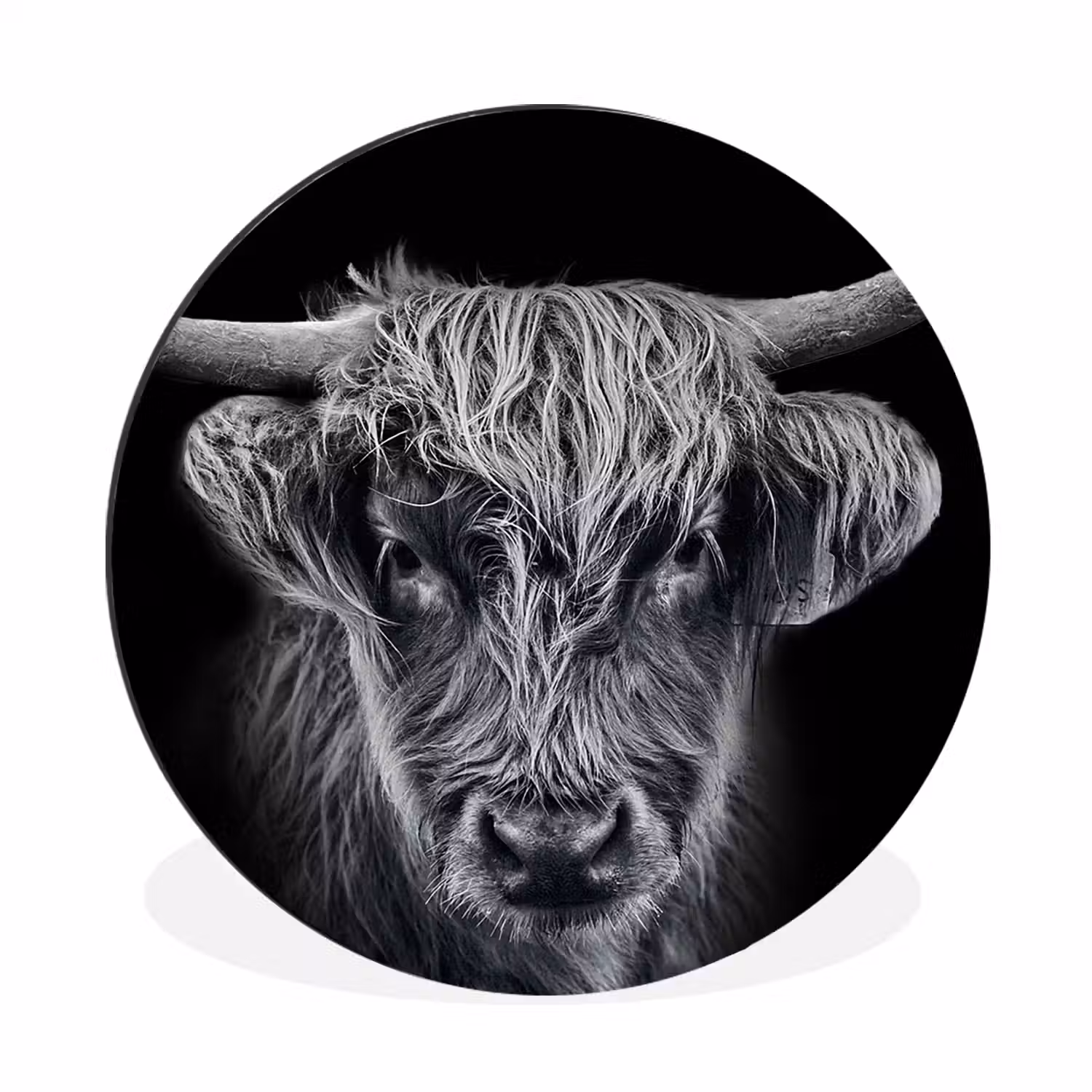 Schotse hooglander - Zwart - Koe - Dieren Wandcirkel aluminium klein -3d