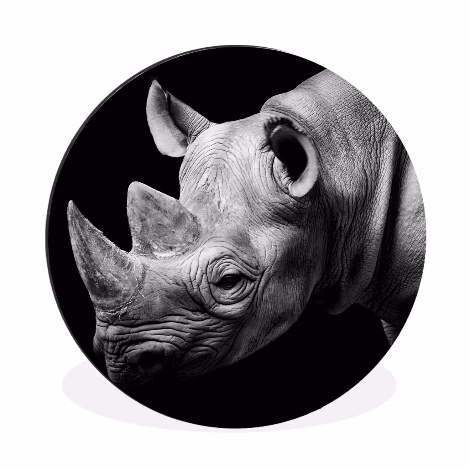 Dieren - Neushoorn - Zwart - Wit - Portret Wandcirkel aluminium klein -3d