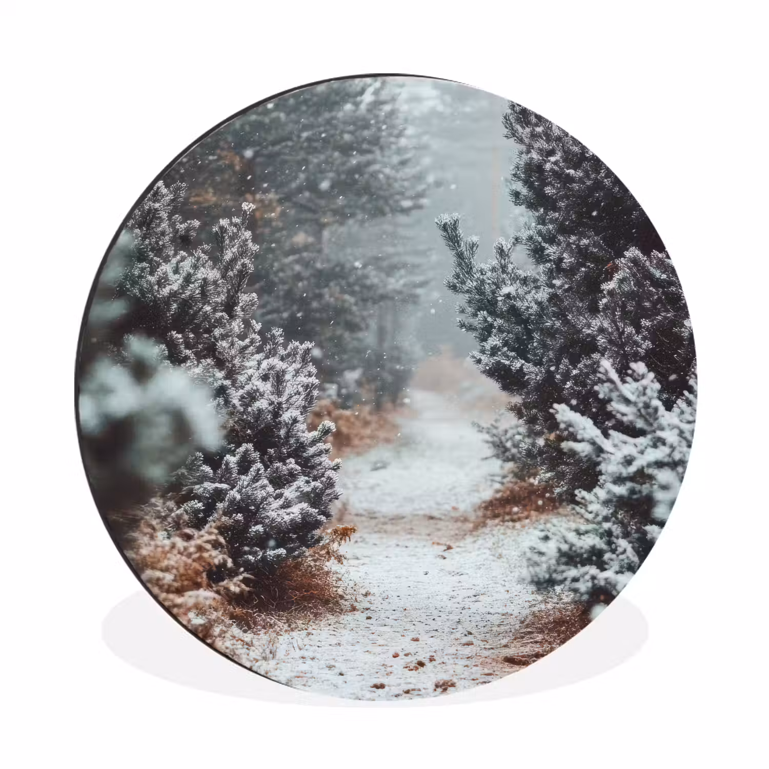 Bos - Winter - Bomen - Natuur - Pad - Sneeuw Wandcirkel aluminium klein -3d