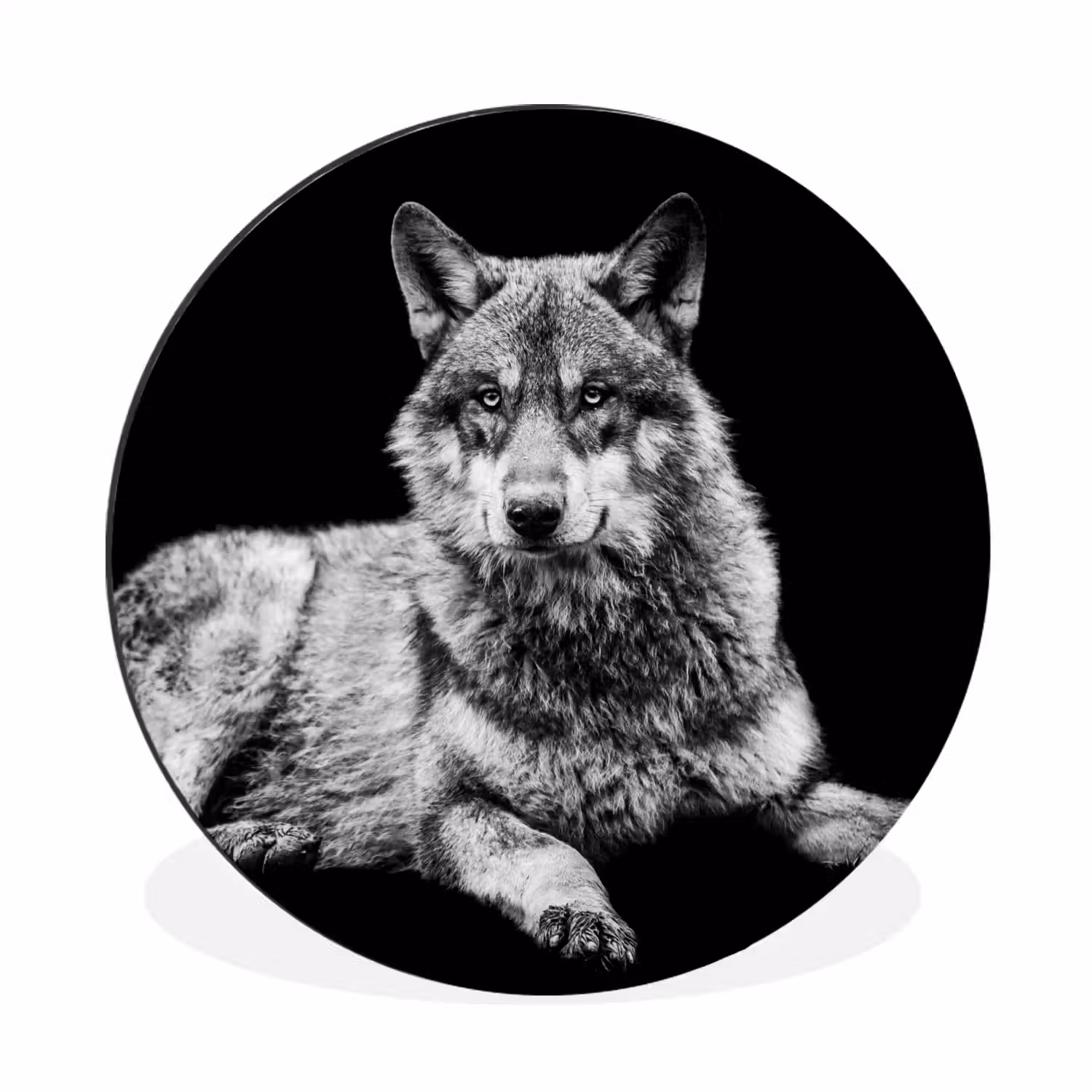 Wilde dieren - Wolf - Zwart - Wit Wandcirkel aluminium klein -3d