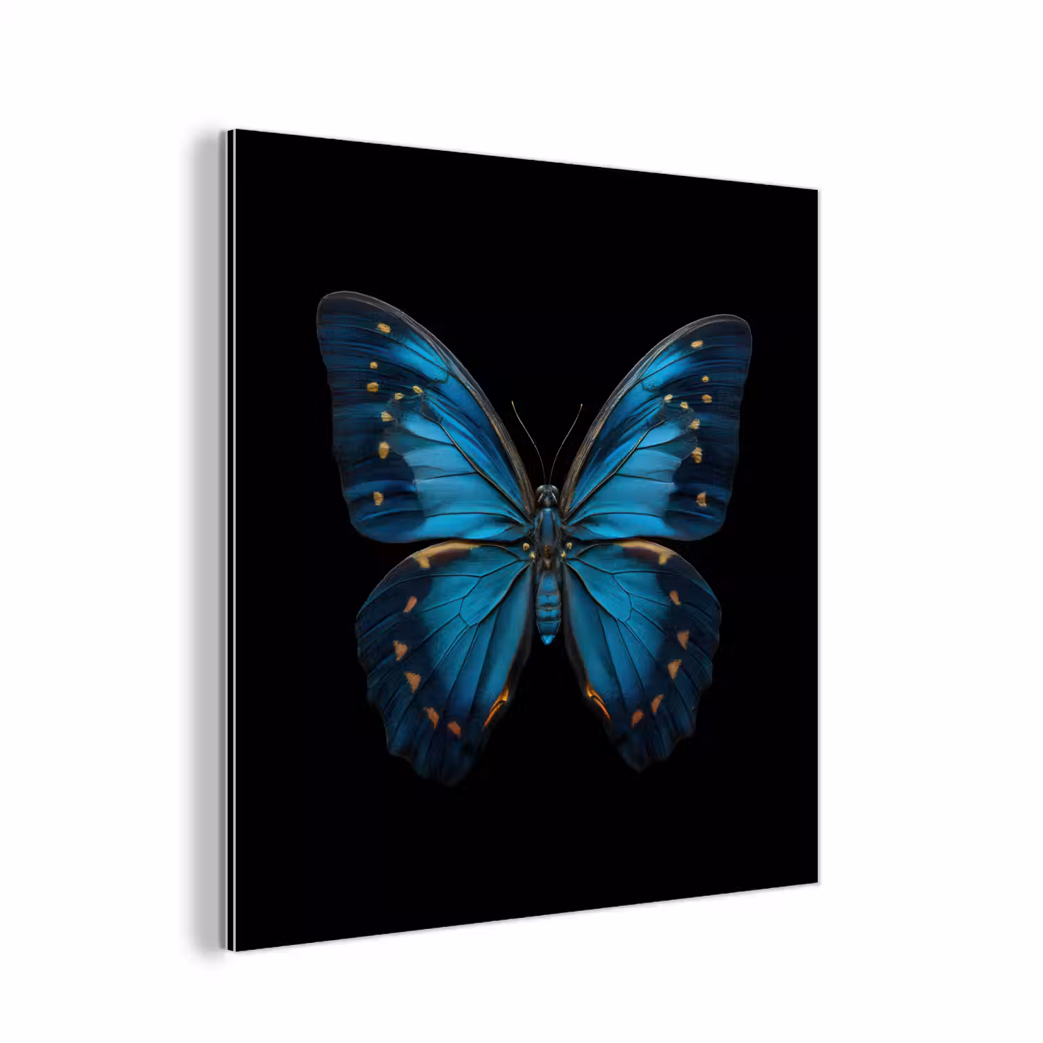 Vlinder - Blauw - Contrast aluminium wit klein -3d