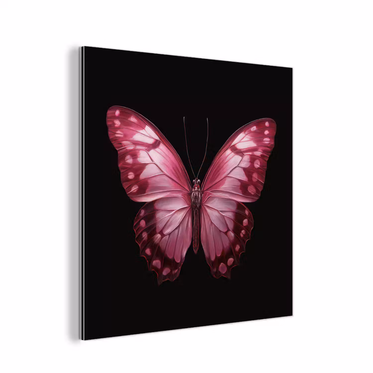 Vlinder - Fuchsia - Grafisch aluminium wit klein -3d