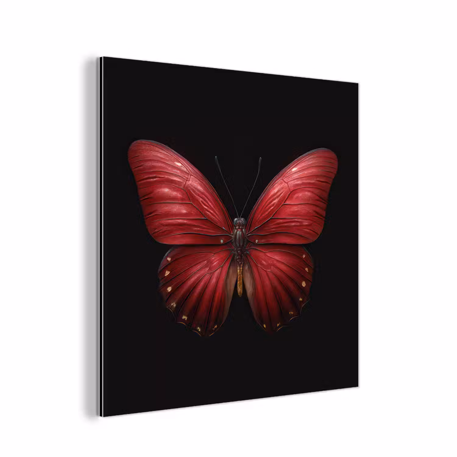 Vlinder - Rood - Minimalistisch aluminium wit klein -3d