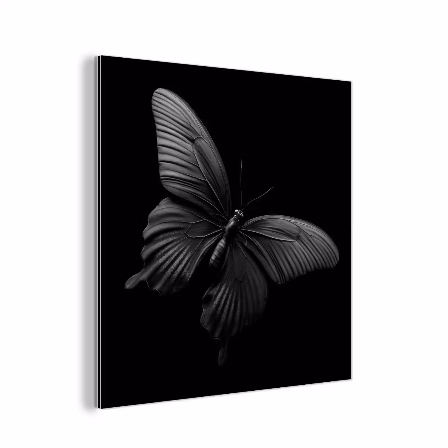 Vlinder - Zwart - Insect - Dieren aluminium wit klein -3d