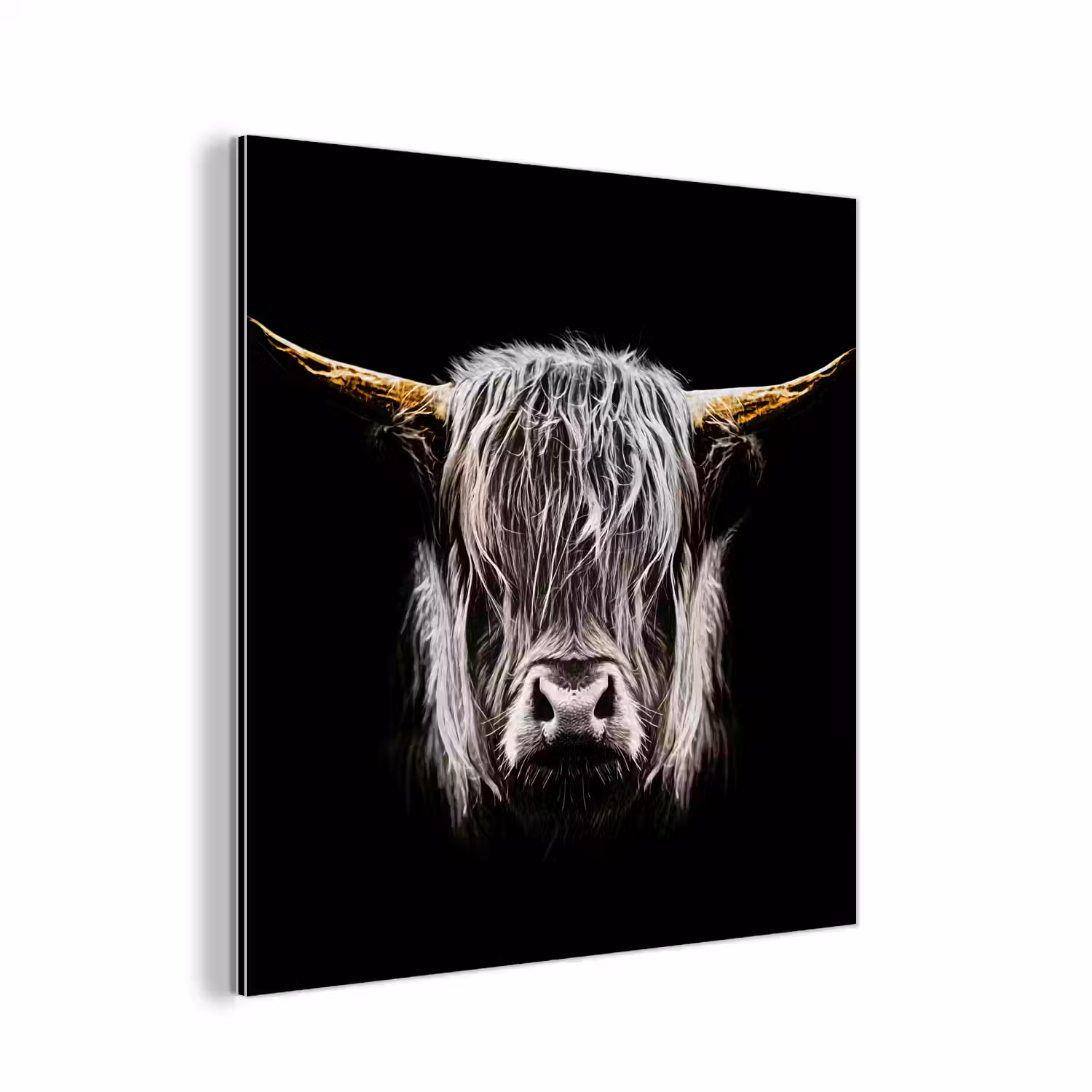 Schotse hooglander - Goud - Hoorns - Zwart wit - Koe - Dieren aluminium wit klein -3d