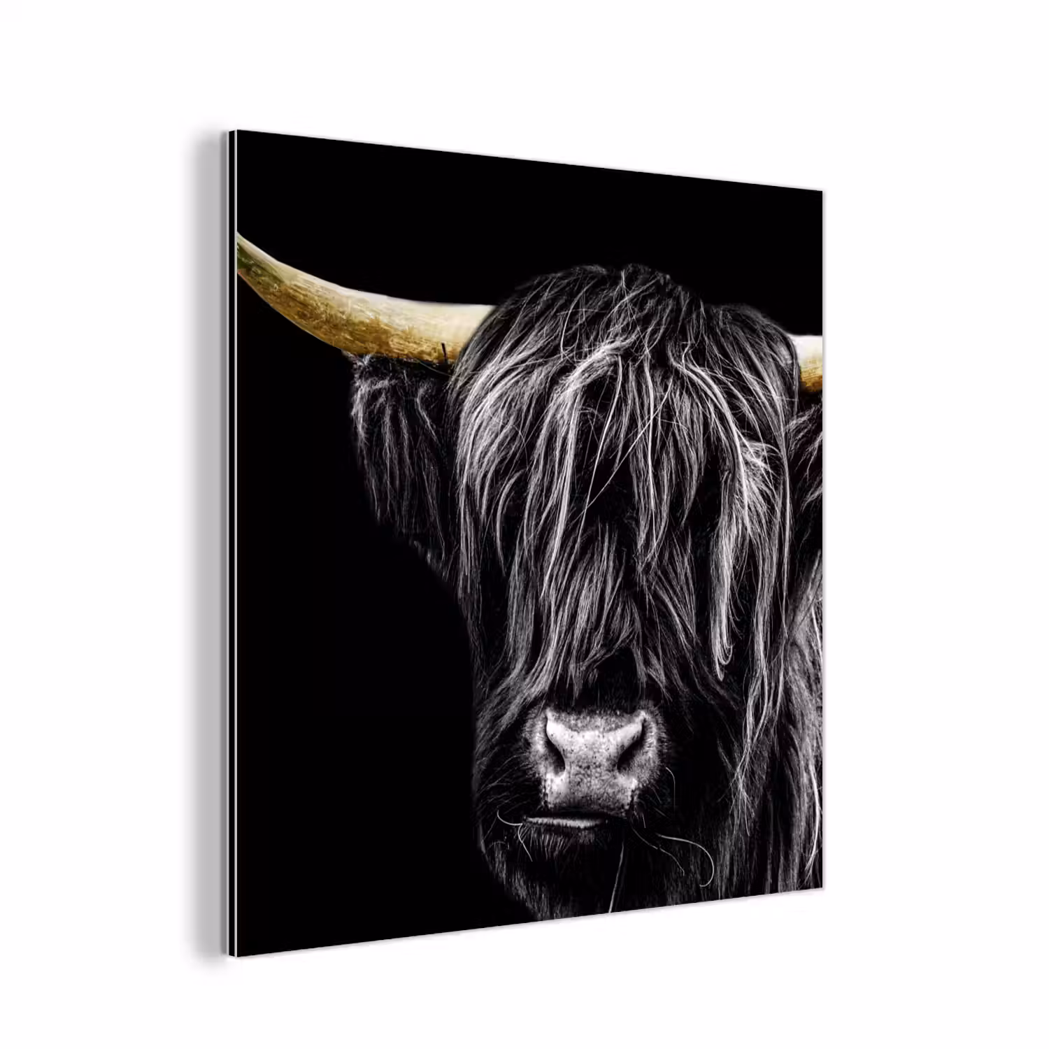 Schotse hooglander - Goud - Vacht - Dieren - Koe aluminium wit klein -3d