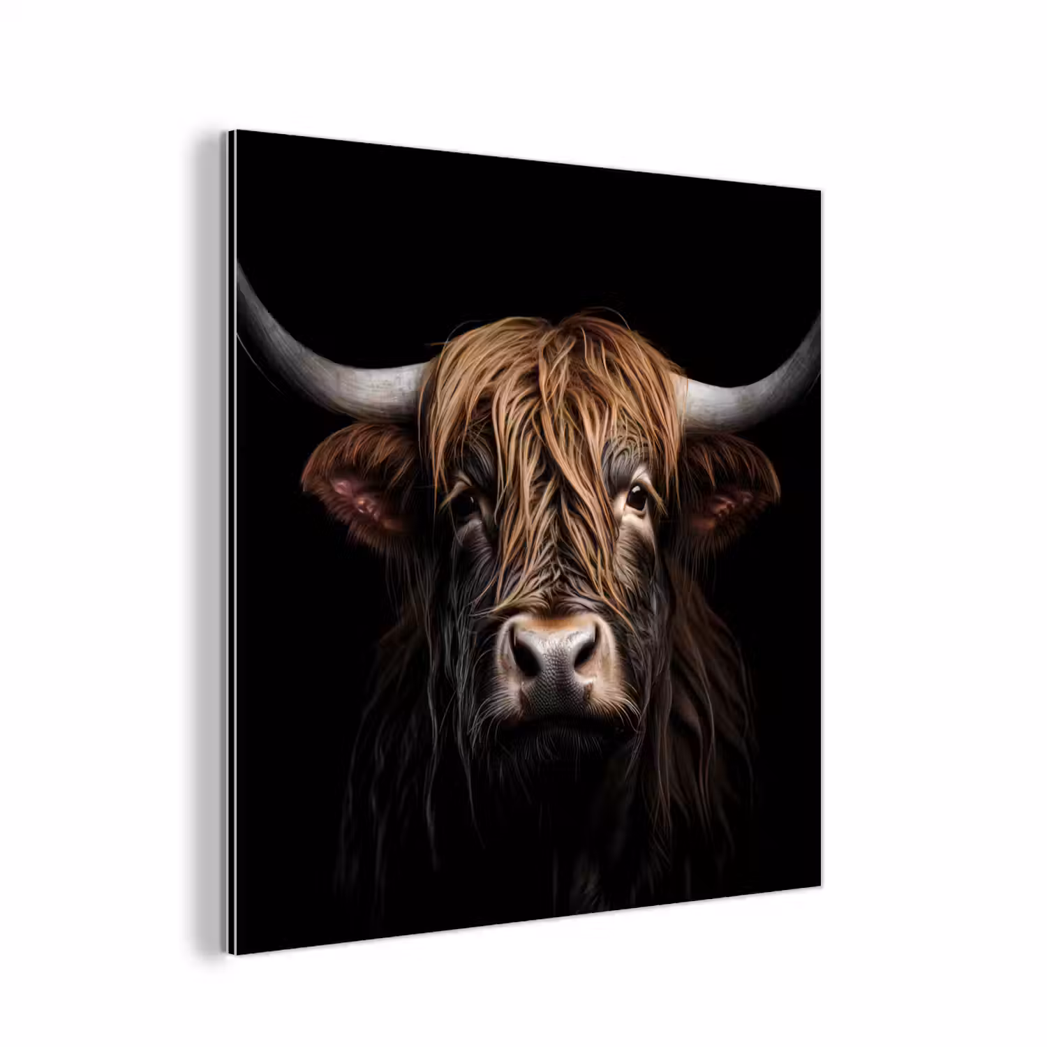 Schotse hooglander - Portret - Zwart - Dier aluminium wit klein -3d