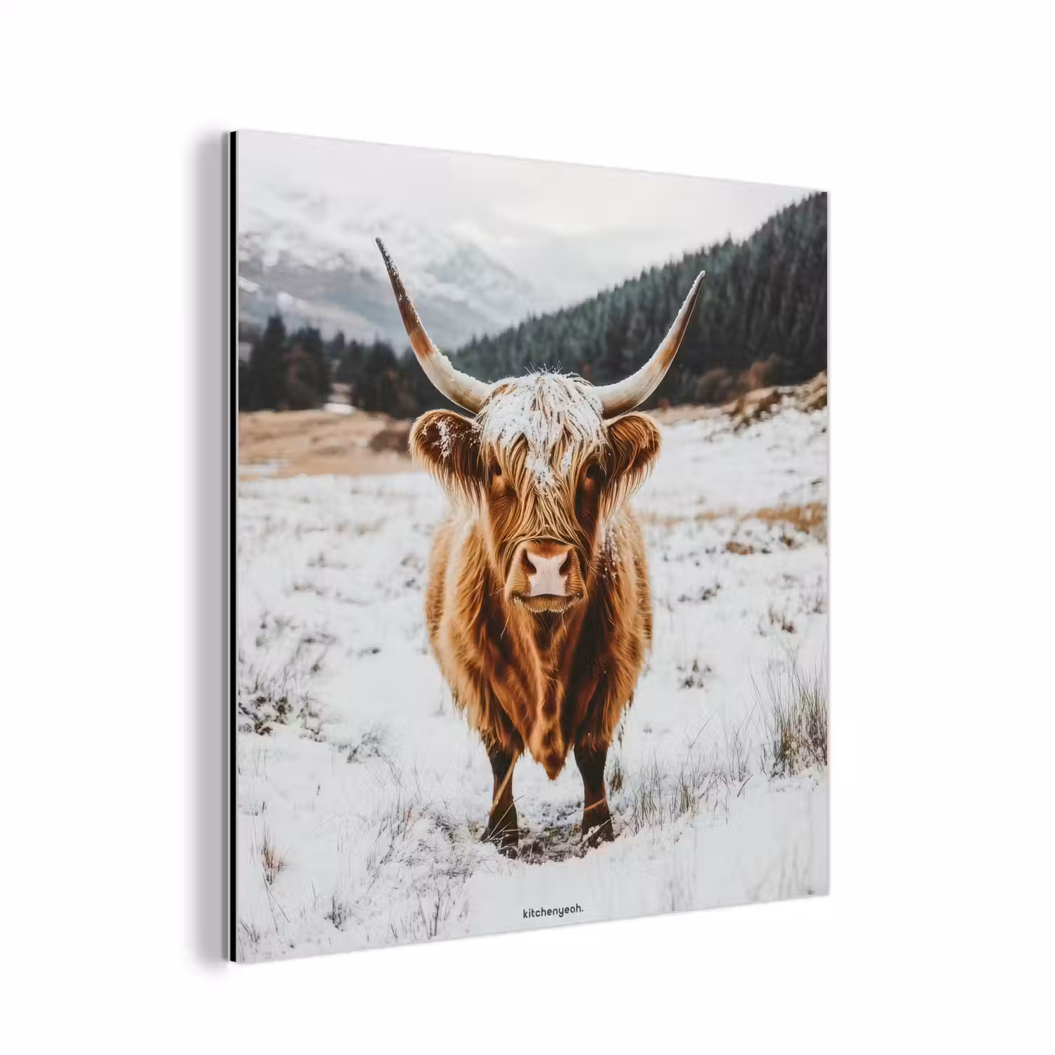 Schotse Hooglander - Sneeuw - Winter - Dieren aluminium wit klein -3d