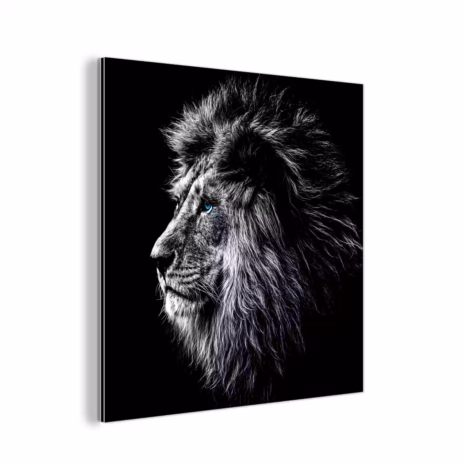 Zwart Wit - Leeuw - Kop - Dieren aluminium wit klein -3d