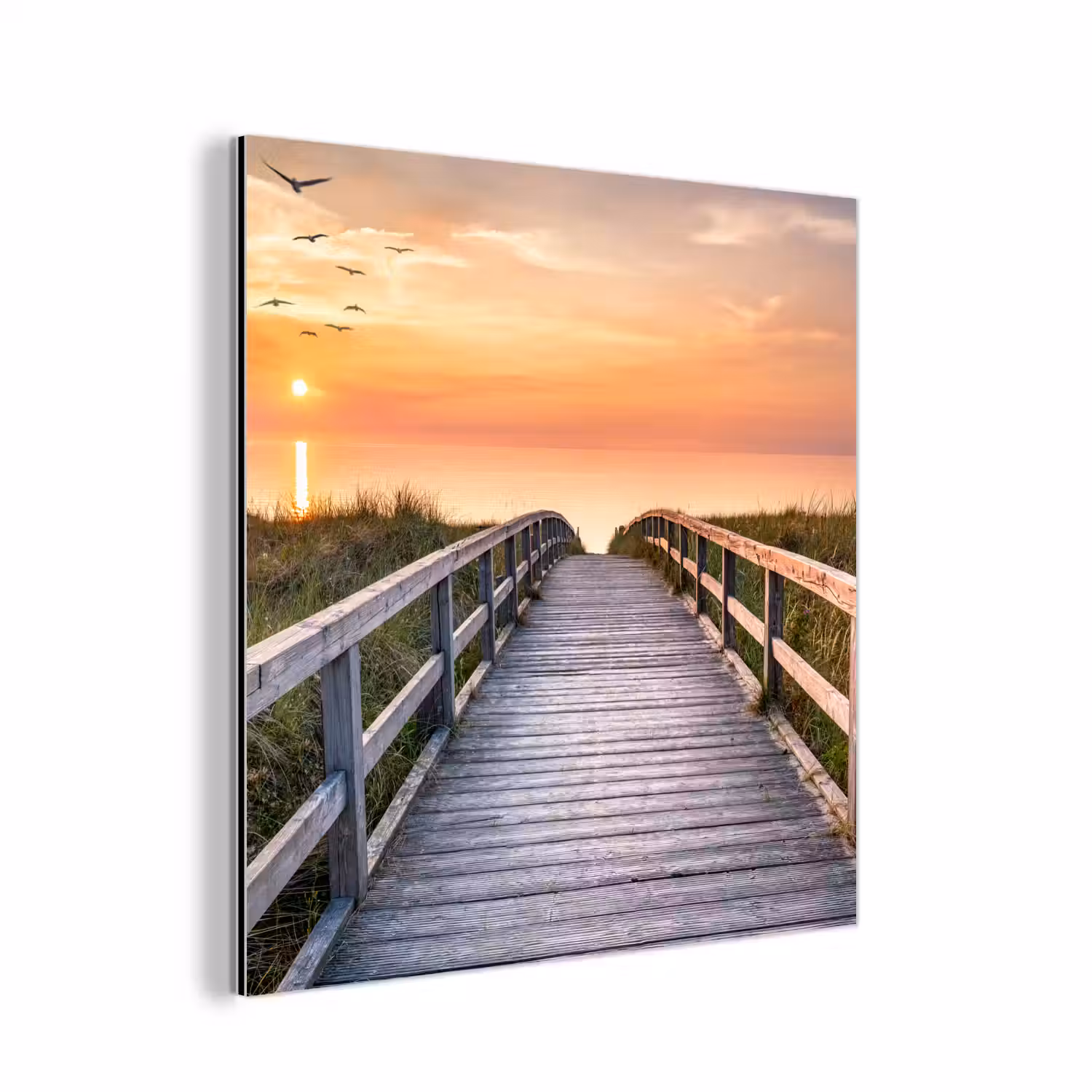 Zonsonderang - Zee - Pad - Gras - Duin - Vogels aluminium wit klein -3d