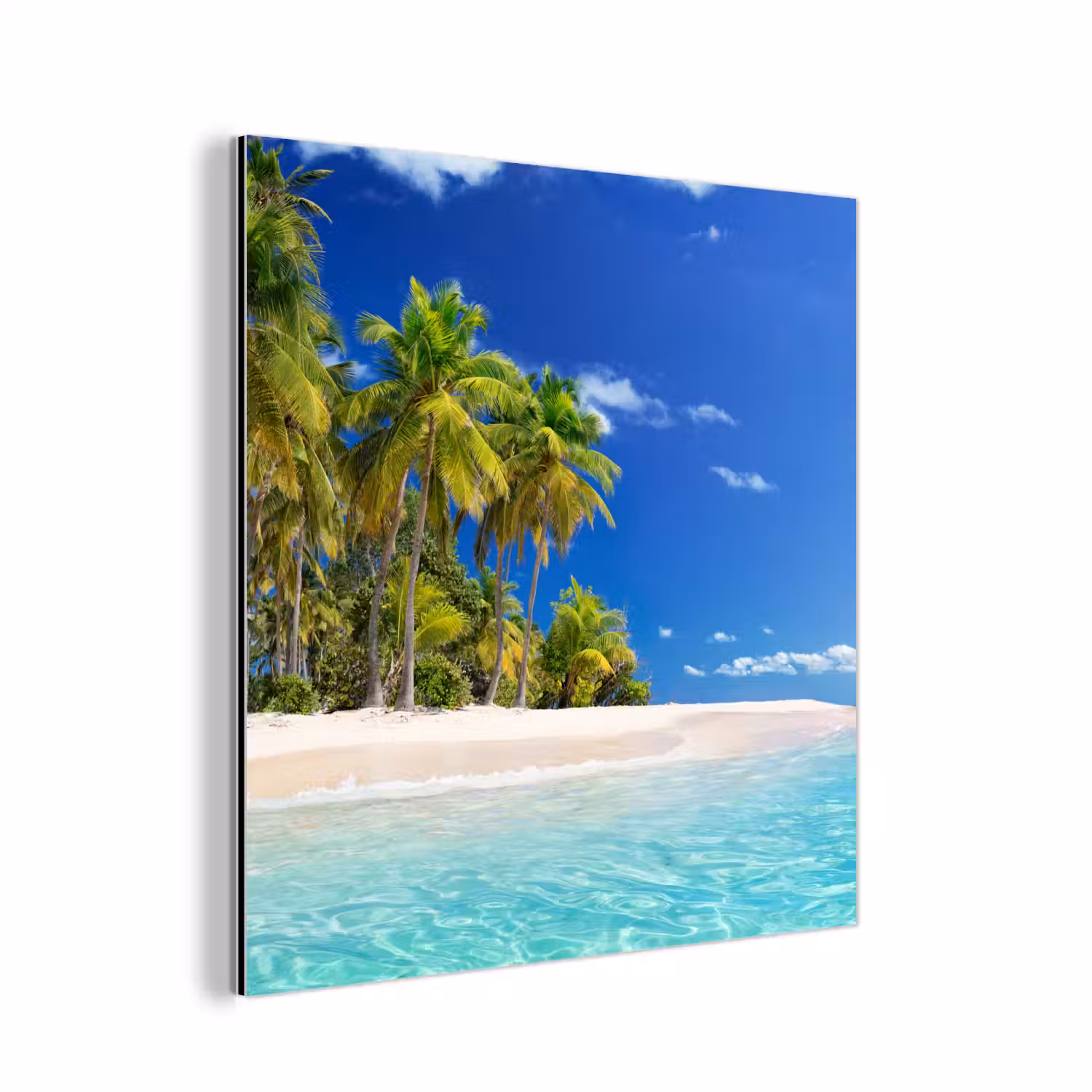 Strand - Zee - Palmboom - Zon - Zomer aluminium wit klein -3d
