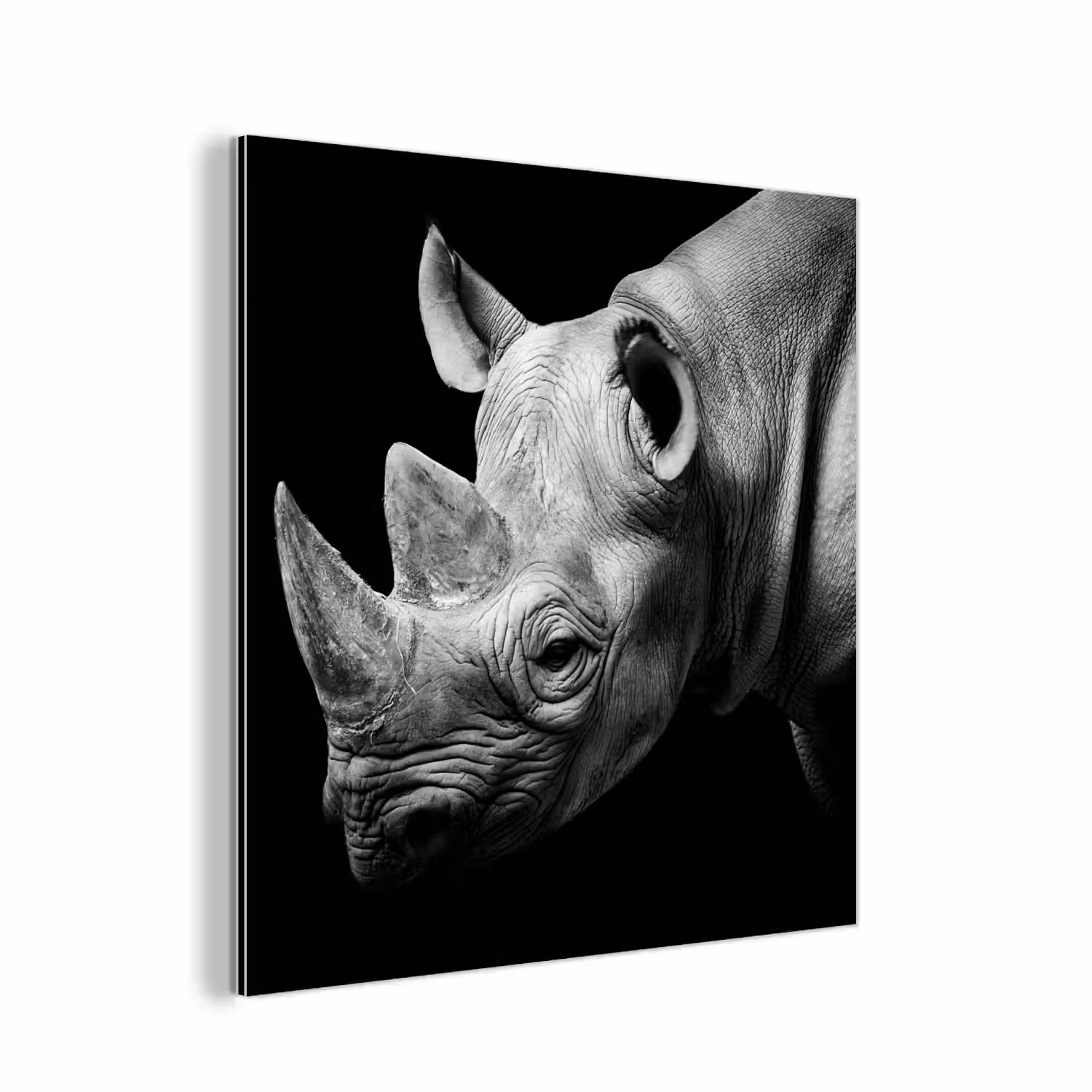 Dieren - Neushoorn - Zwart - Wit - Portret aluminium wit klein -3d