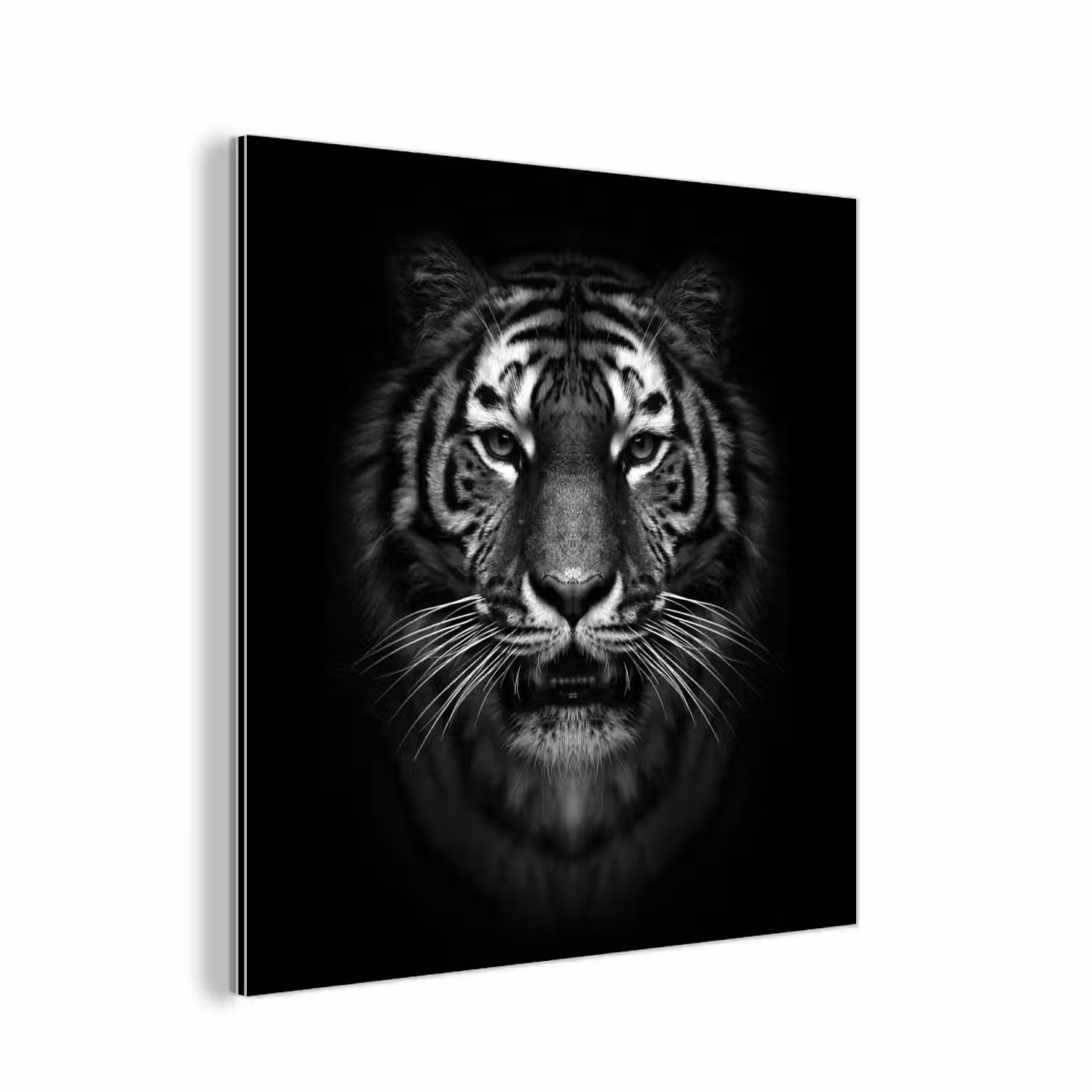 Tijger - Dieren - Zwart - Wit - Portret - Wild aluminium wit klein -3d