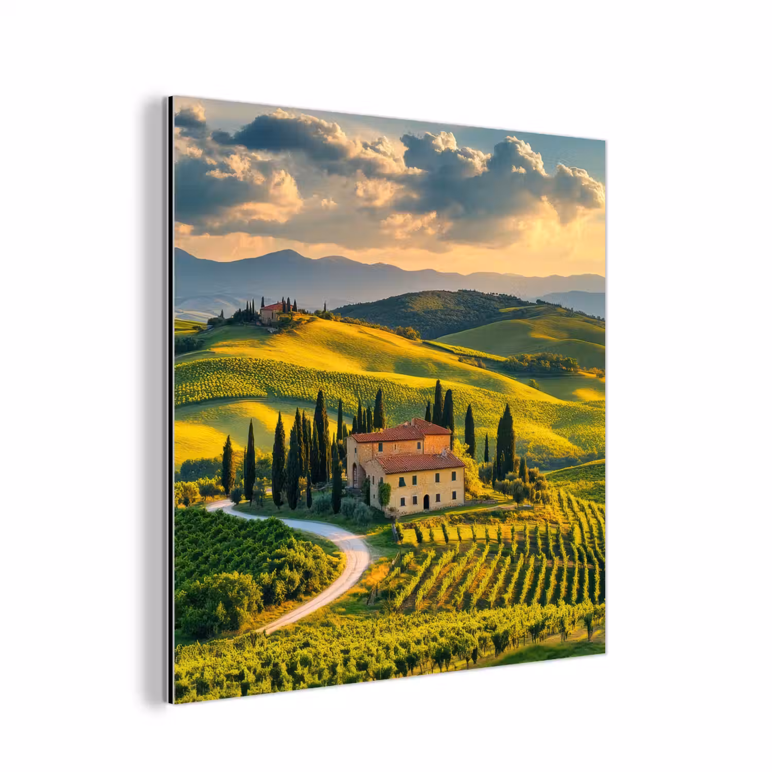 Toscane - Landschap - Wijngaarden aluminium wit klein -3d
