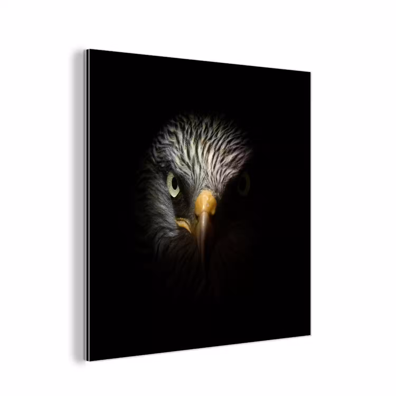 Vogel - Adelaar - Roofvogels - Oog - Snavel - Licht aluminium wit klein -3d