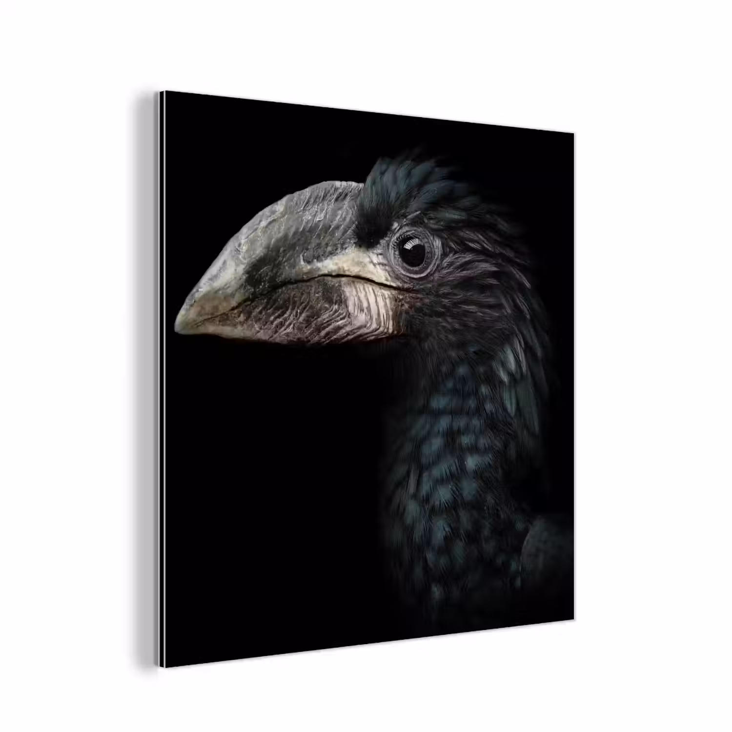 Vogel - Portret - Neushoornvogel - Zwart - Dieren aluminium wit klein -3d