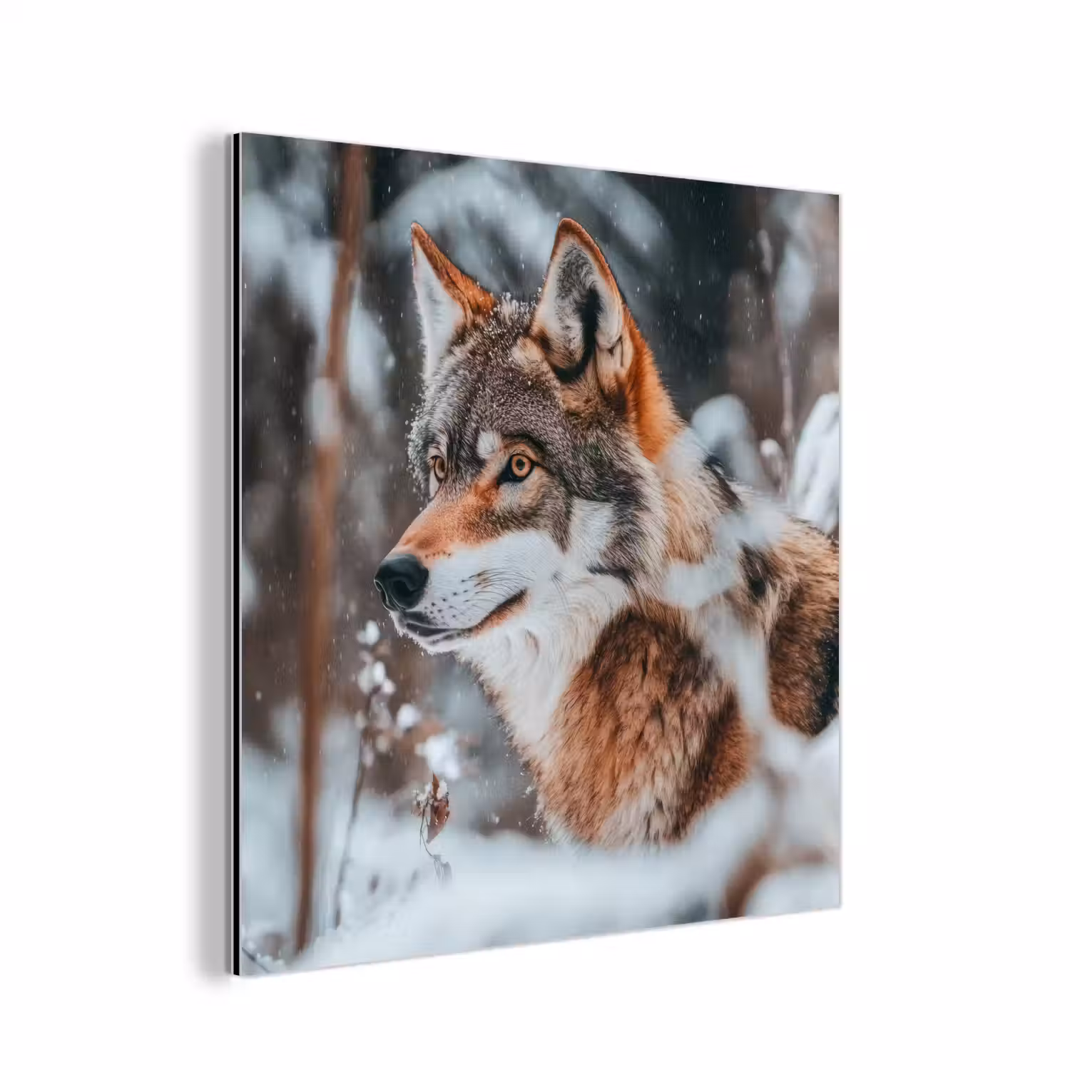 Wolf - Sneeuw - Winter - Dieren - Natuur - Sneeuw aluminium wit klein -3d