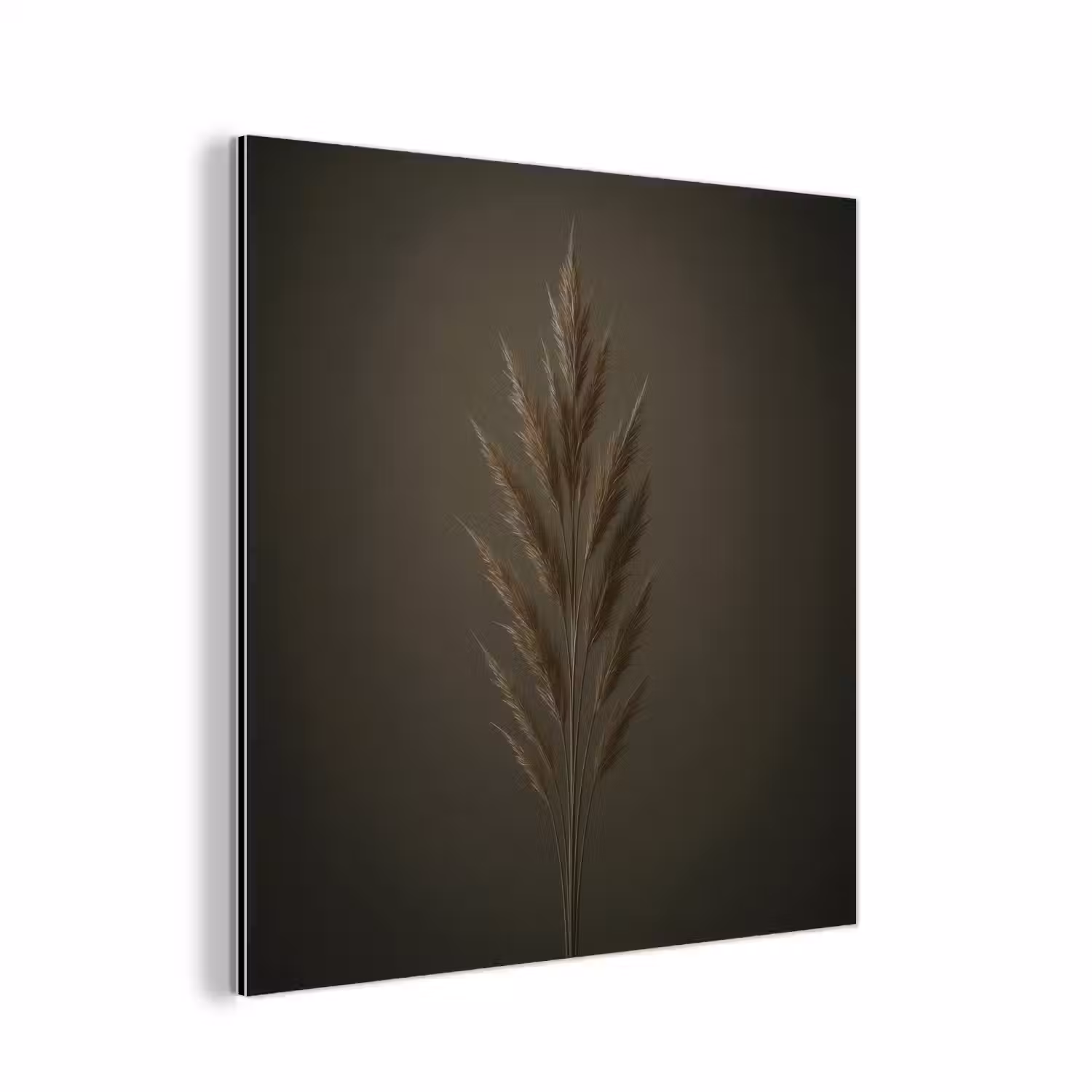 Tak - Pluimgras - Donkerbruin aluminium wit klein -3d