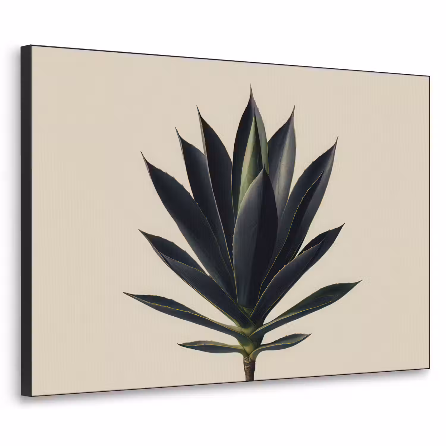 Agaveplant - Symmetrisch - Groen Textielframe - compleet frame klein -3d