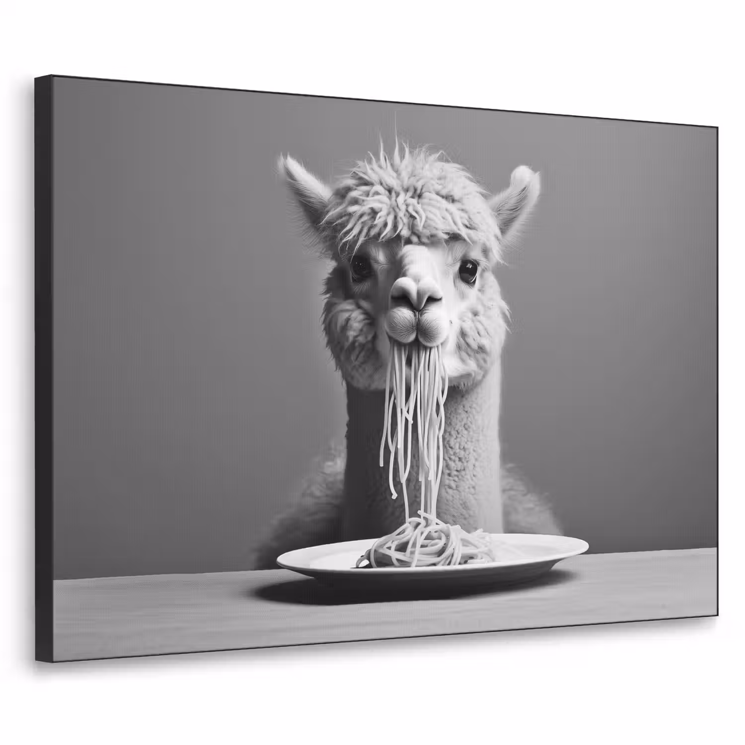 Alpaca - Pasta - Zwart - Wit - Grappig - Dieren Textielframe - compleet frame klein -3d