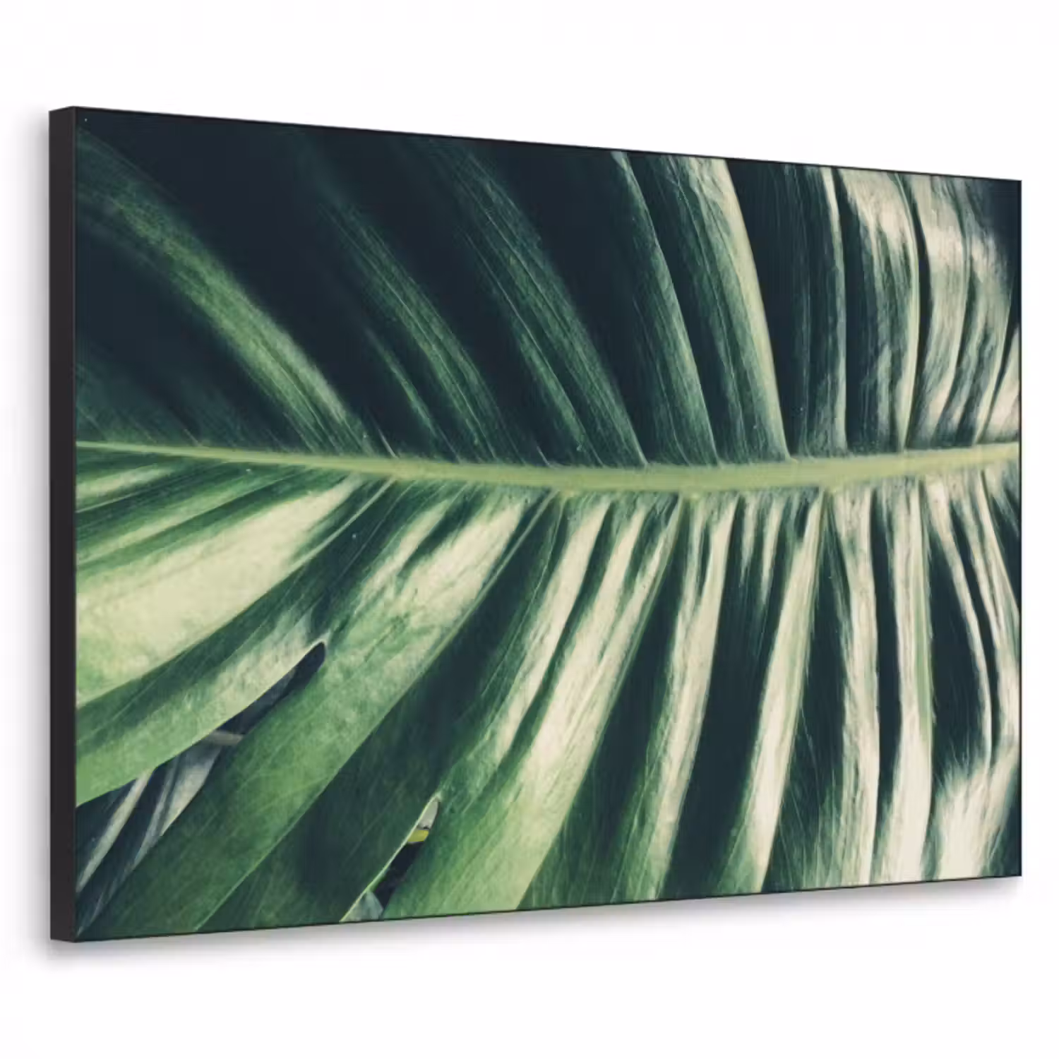 tropical-inductiebeschermer-cm-nie0ef8bjsp4vzto-textielframe-zwart-klein-3d.jpg