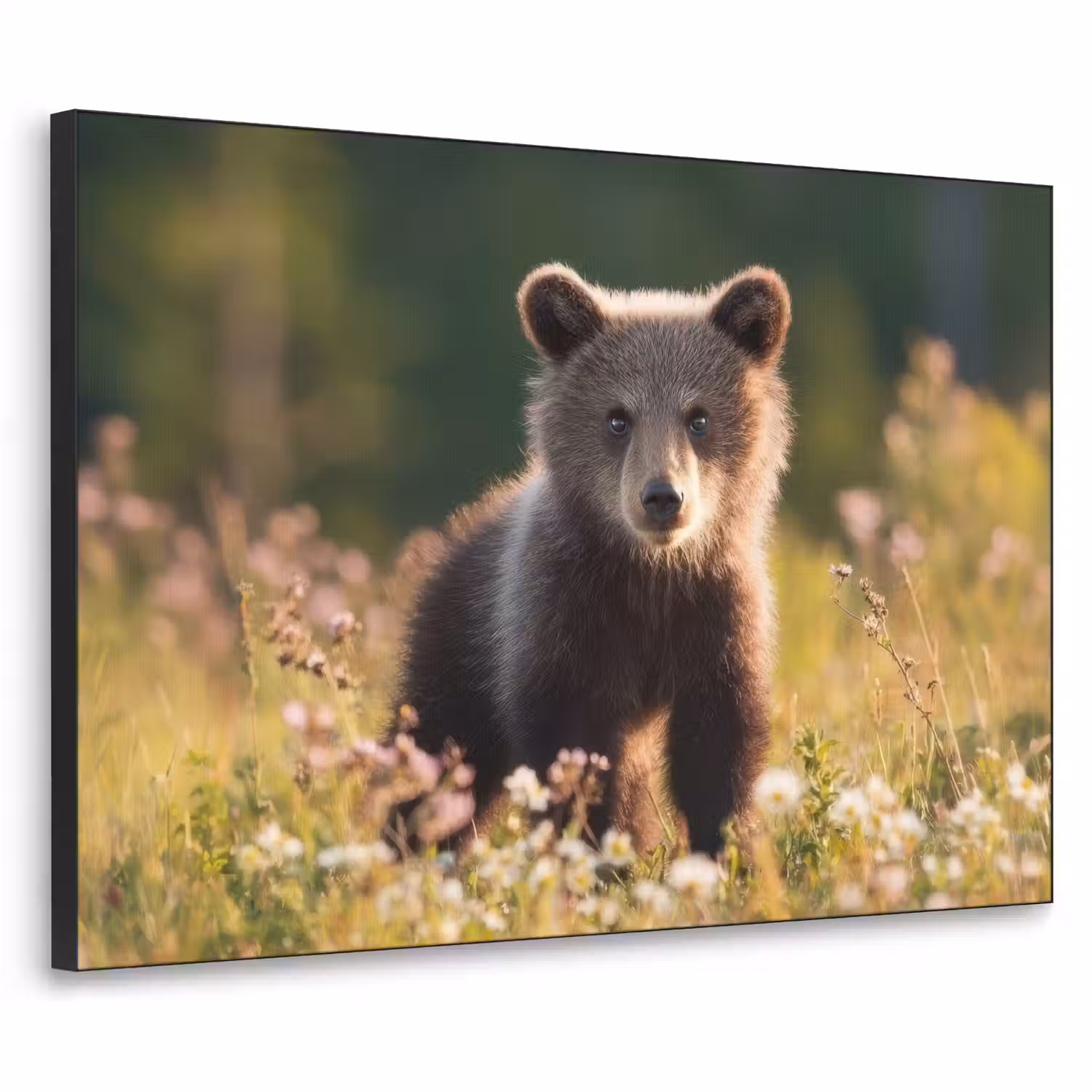Beer - Bloemenveld - Gras Textielframe - compleet frame klein -3d