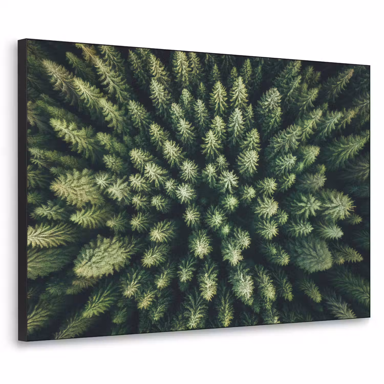 Bomen - Naaldwoud - Structuur Textielframe - compleet frame klein -3d