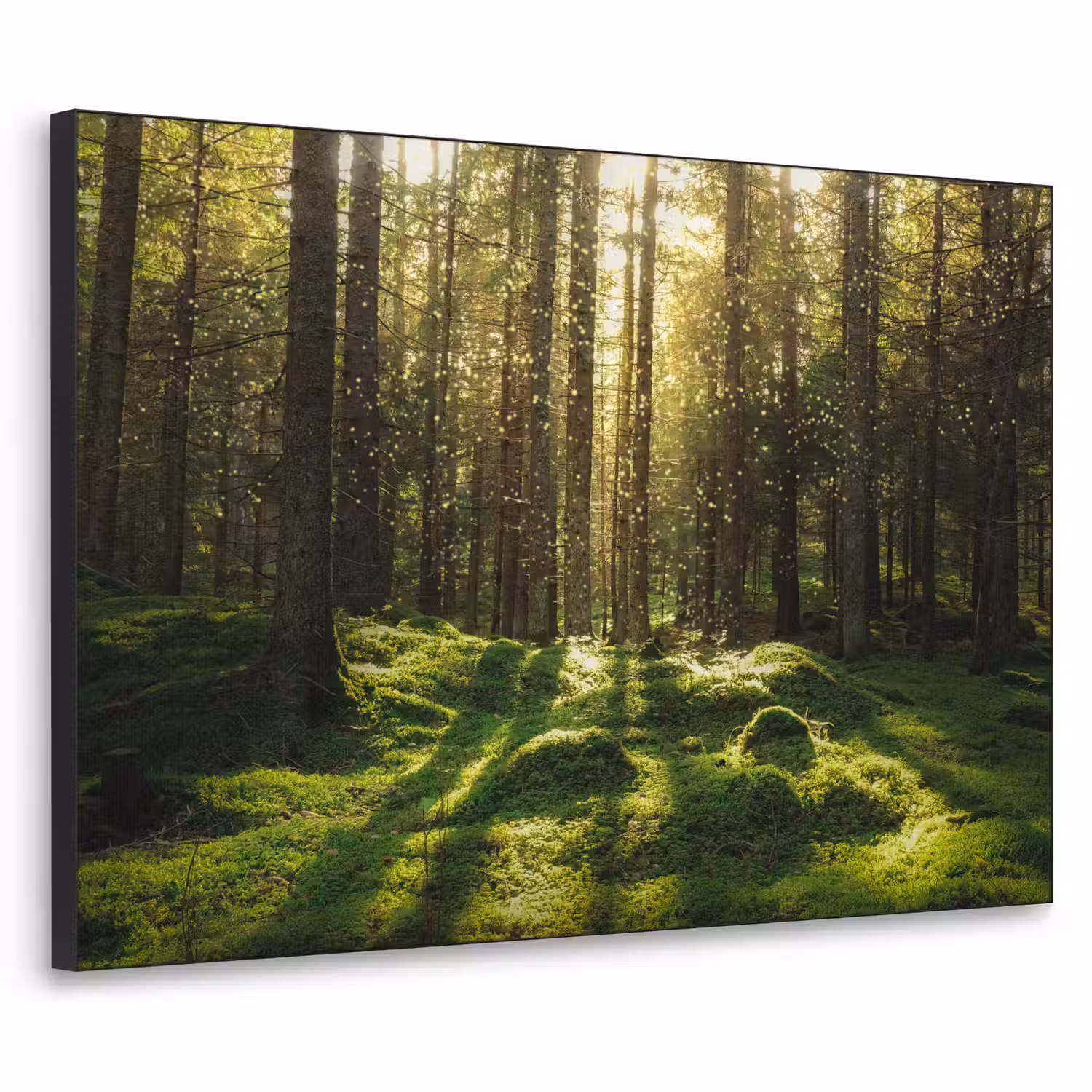 Bomen - Bos - Mos - Planten - Zon - Natuur Textielframe zwart klein -3d