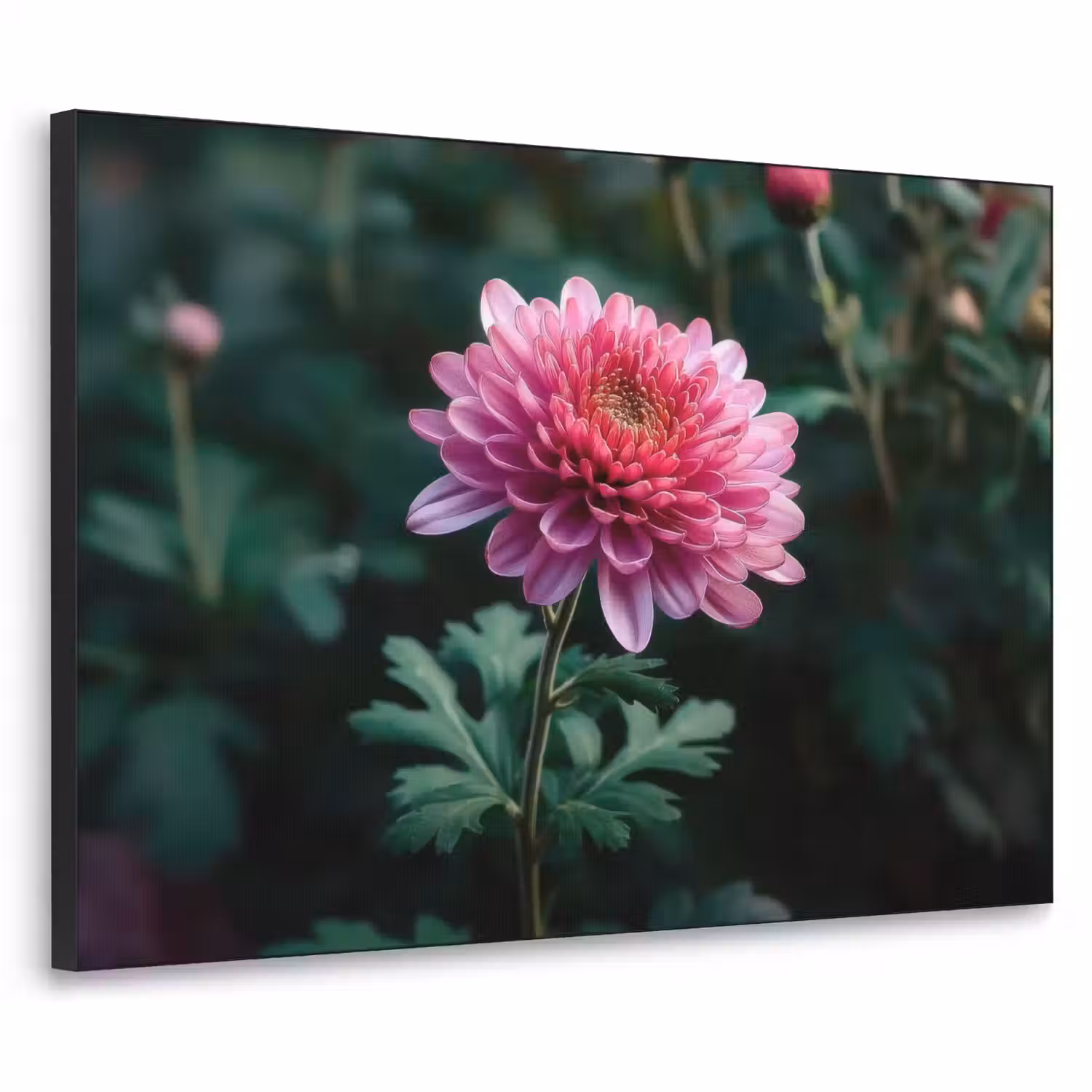 Blad - Chrysant - Roze - Schaduw Textielframe - compleet frame klein -3d