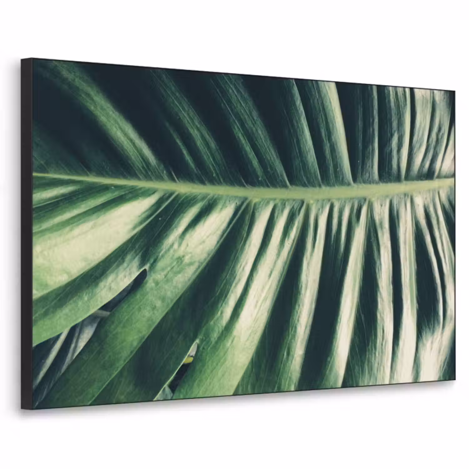 tropical10-3-2-bidj-textielframe-zwart-middel-3d.jpg