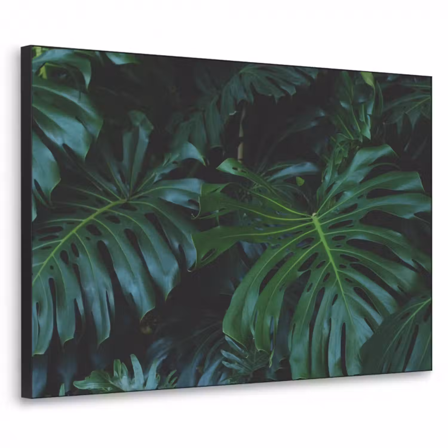 tropical-inductiebeschermer-cm-jny891fwgv8b8fca-textielframe-zwart-klein-3d.jpg