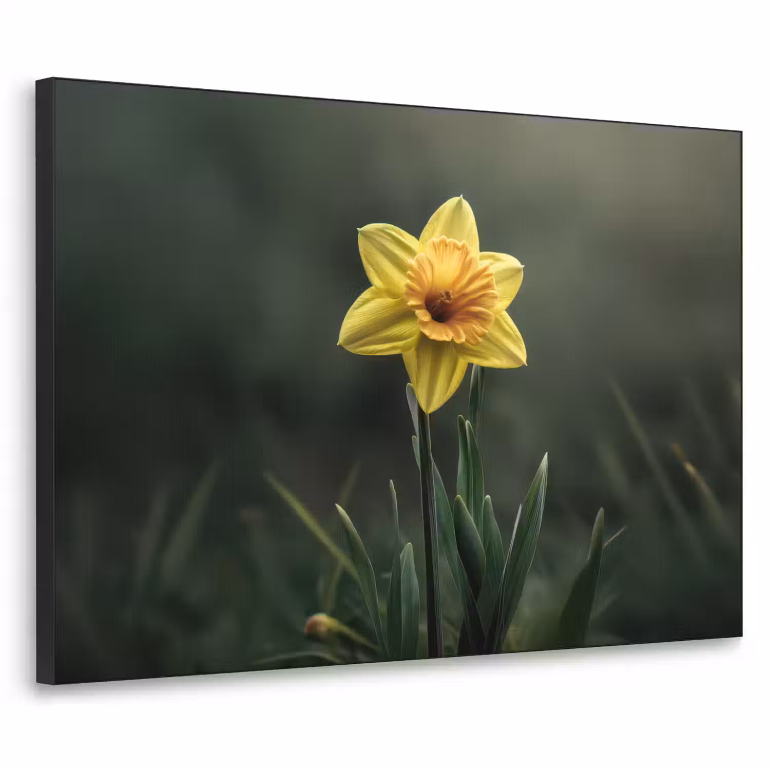 Bloem - Narcis - Gras - Geel Textielframe - compleet frame klein -3d