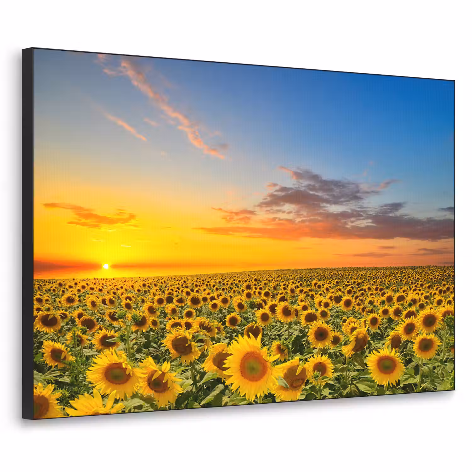 Bloemen - Zonnebloem - Zonsondergang - Nacht - Oranje Textielframe zwart klein -3d