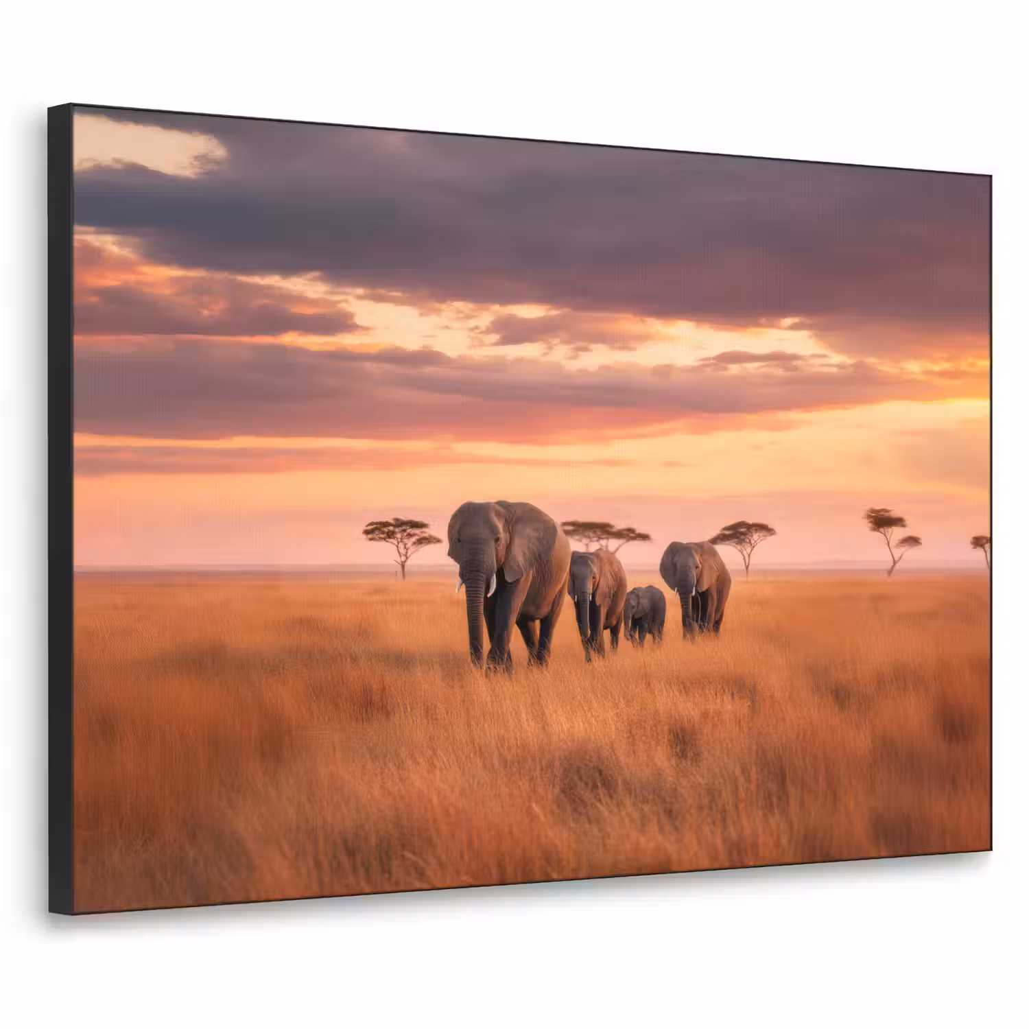 Groep olifanten - Open vlakte - Zon Textielframe - compleet frame klein -3d