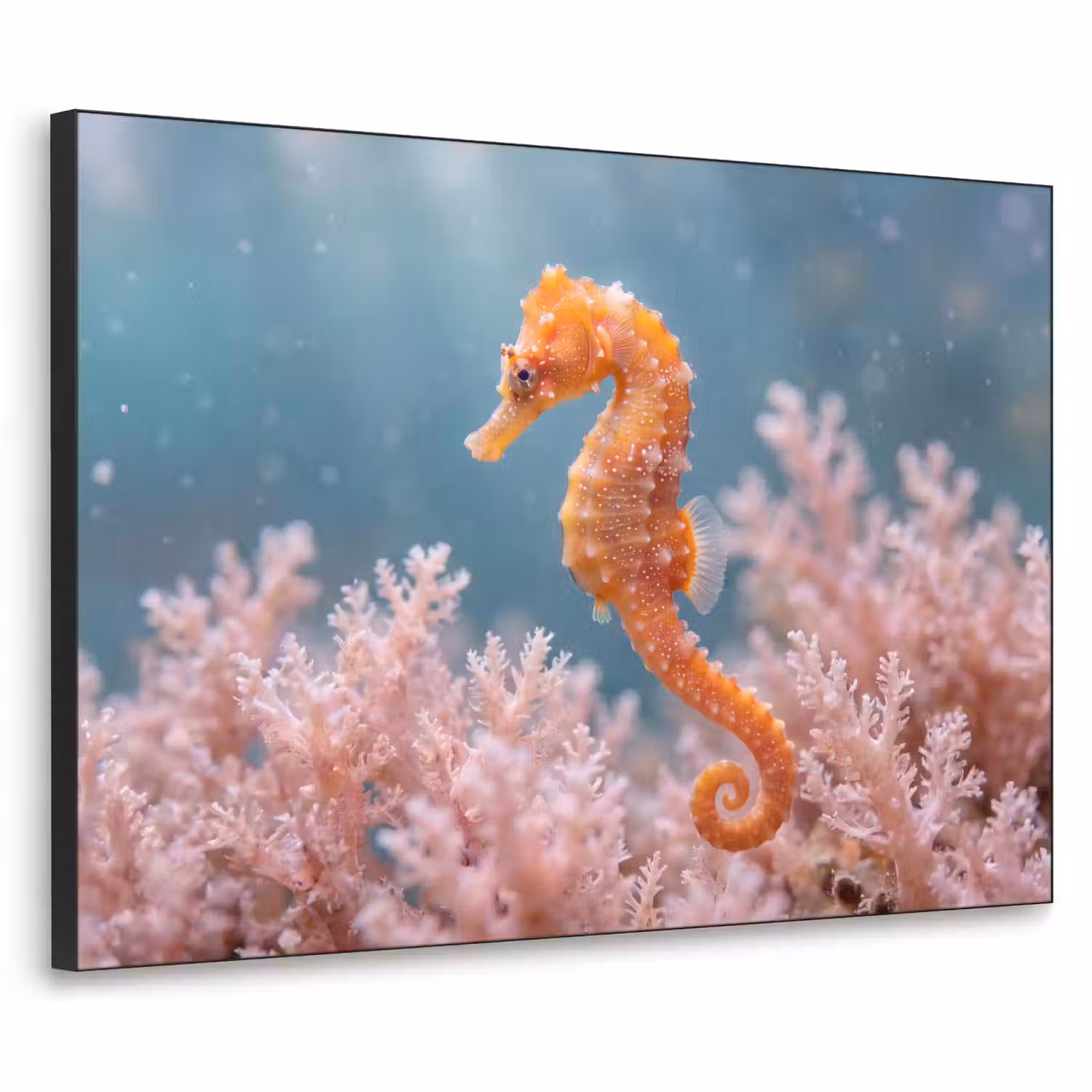 Vis - Koraal - Oceaan - Macro - Oranje Textielframe zwart klein -3d