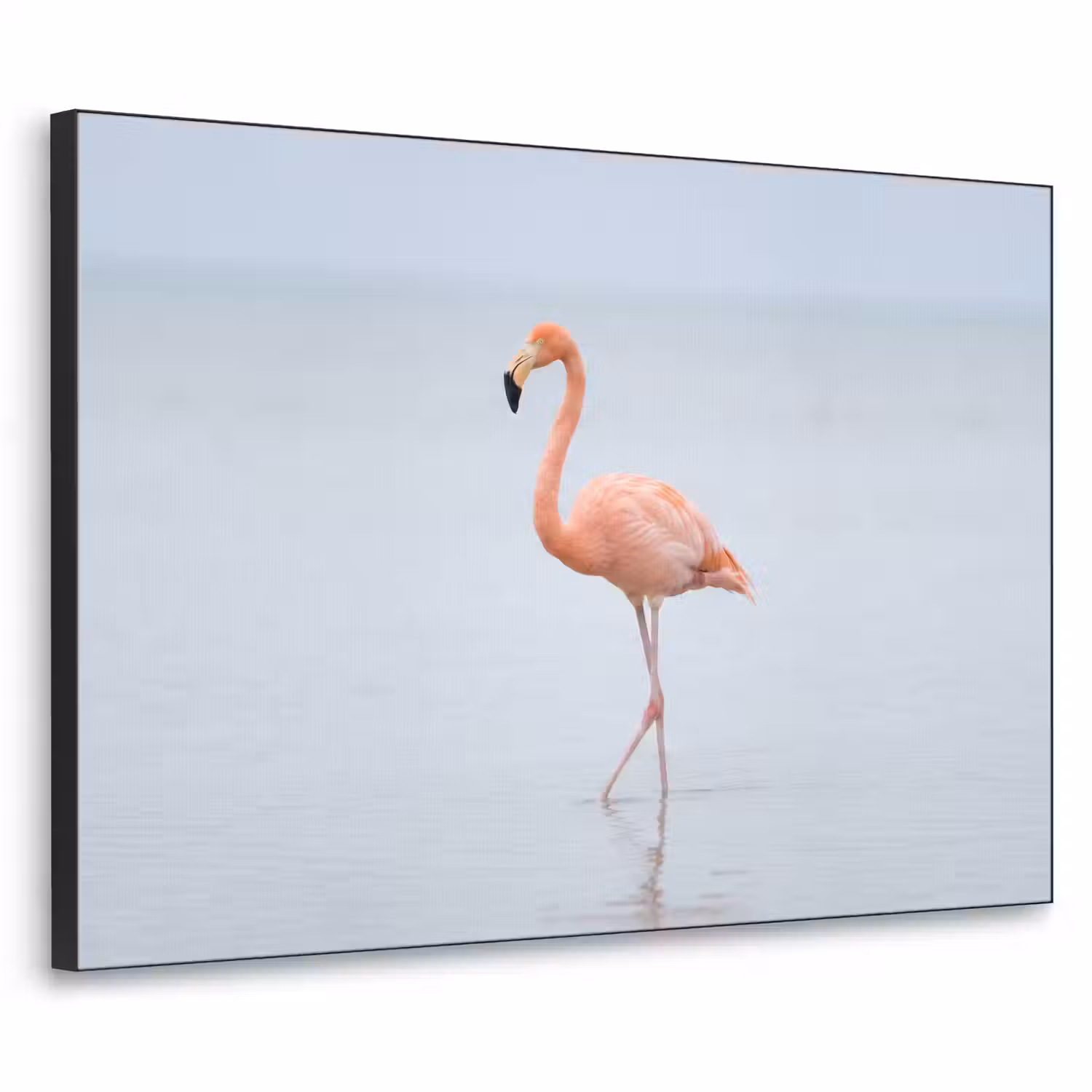 Flamingo - Zee - Roze Textielframe zwart klein -3d