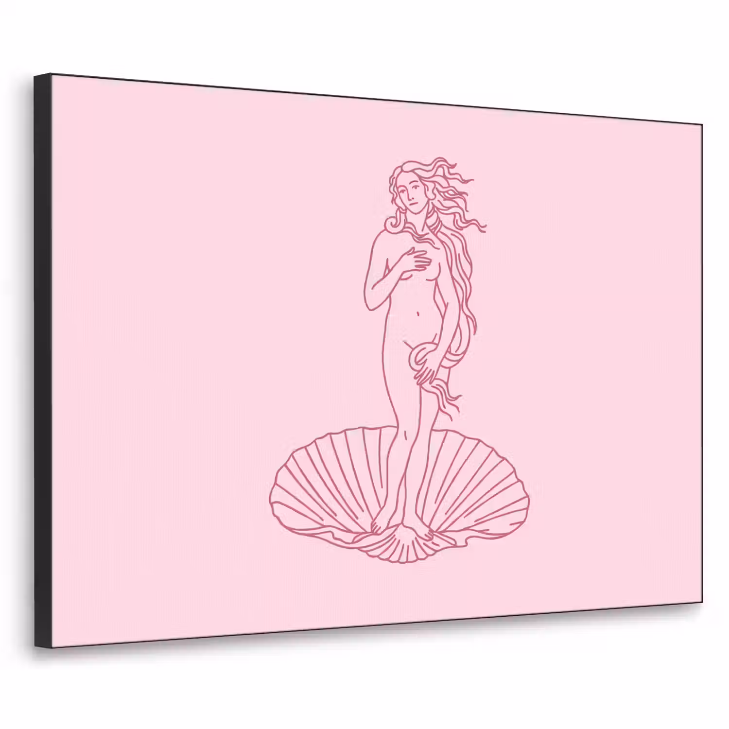 Vrouw - Schelp - Kunst - Lijntekening - Roze Textielframe zwart klein -3d