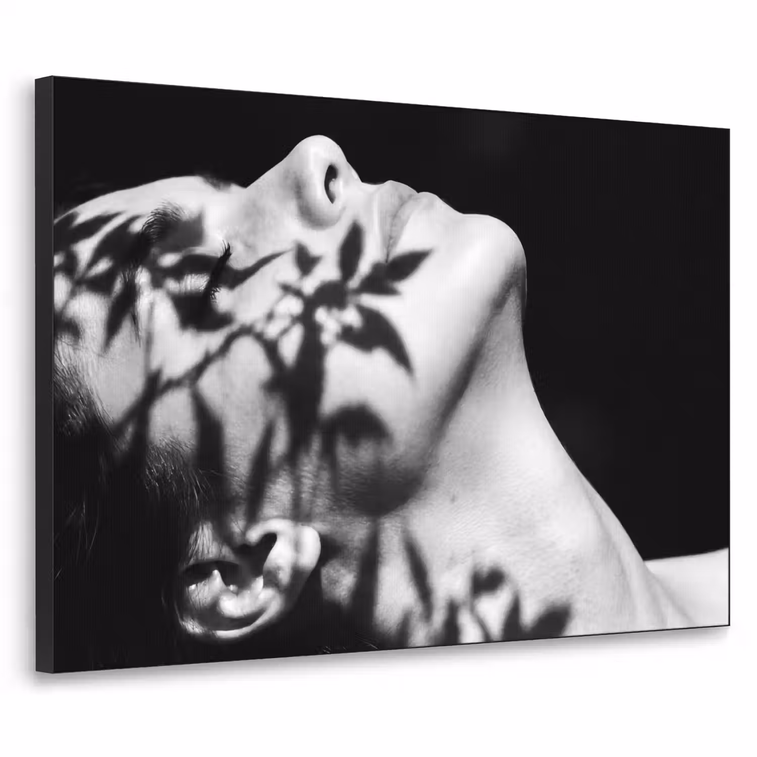 Gezicht - Schaduw - Bladeren - Zwart - Wit - Intiem Textielframe zwart klein -3d