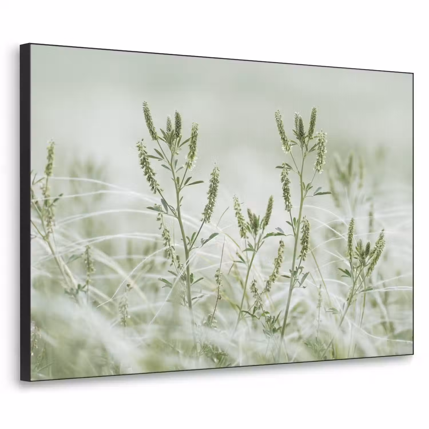 Grassen - Minimalistisch - Groen Textielframe zwart klein -3d