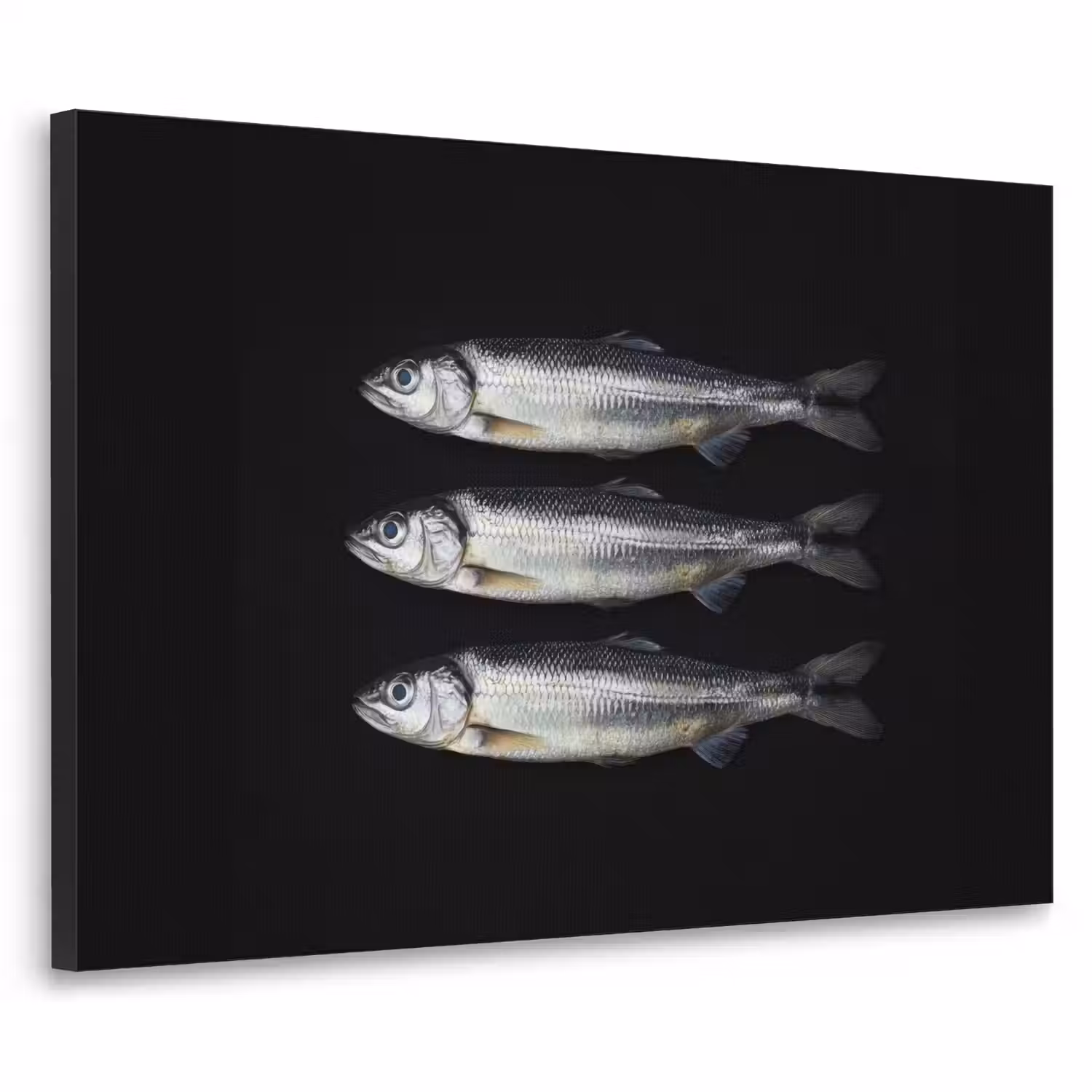 Haring - Vissen - Zwart Textielframe - compleet frame klein -3d